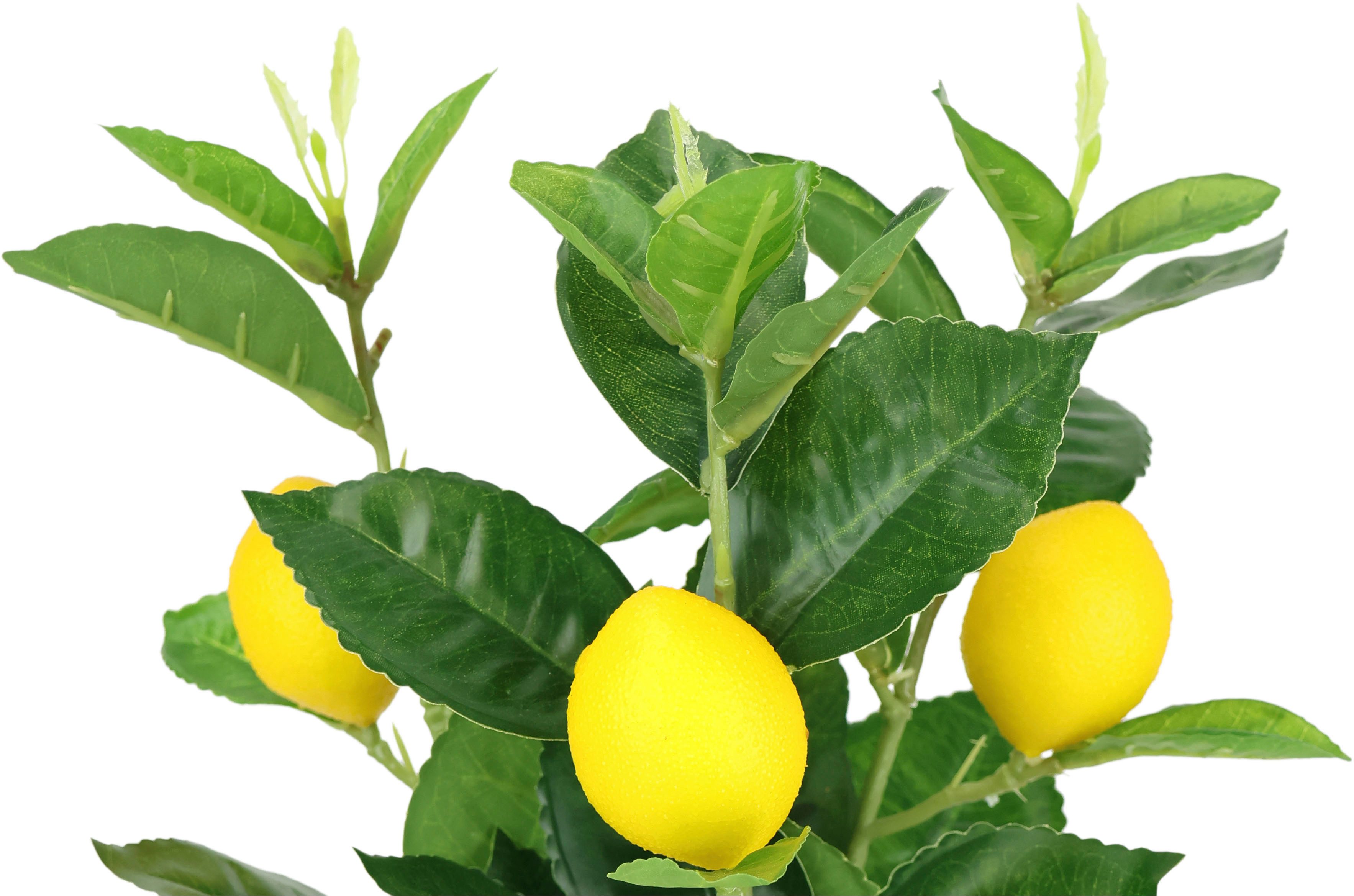 I.GE.A. Kunstplant Kunstmatige mini-citroenboom Levensechte kunstboom boom decoratie fruitboom plant (1 stuk)