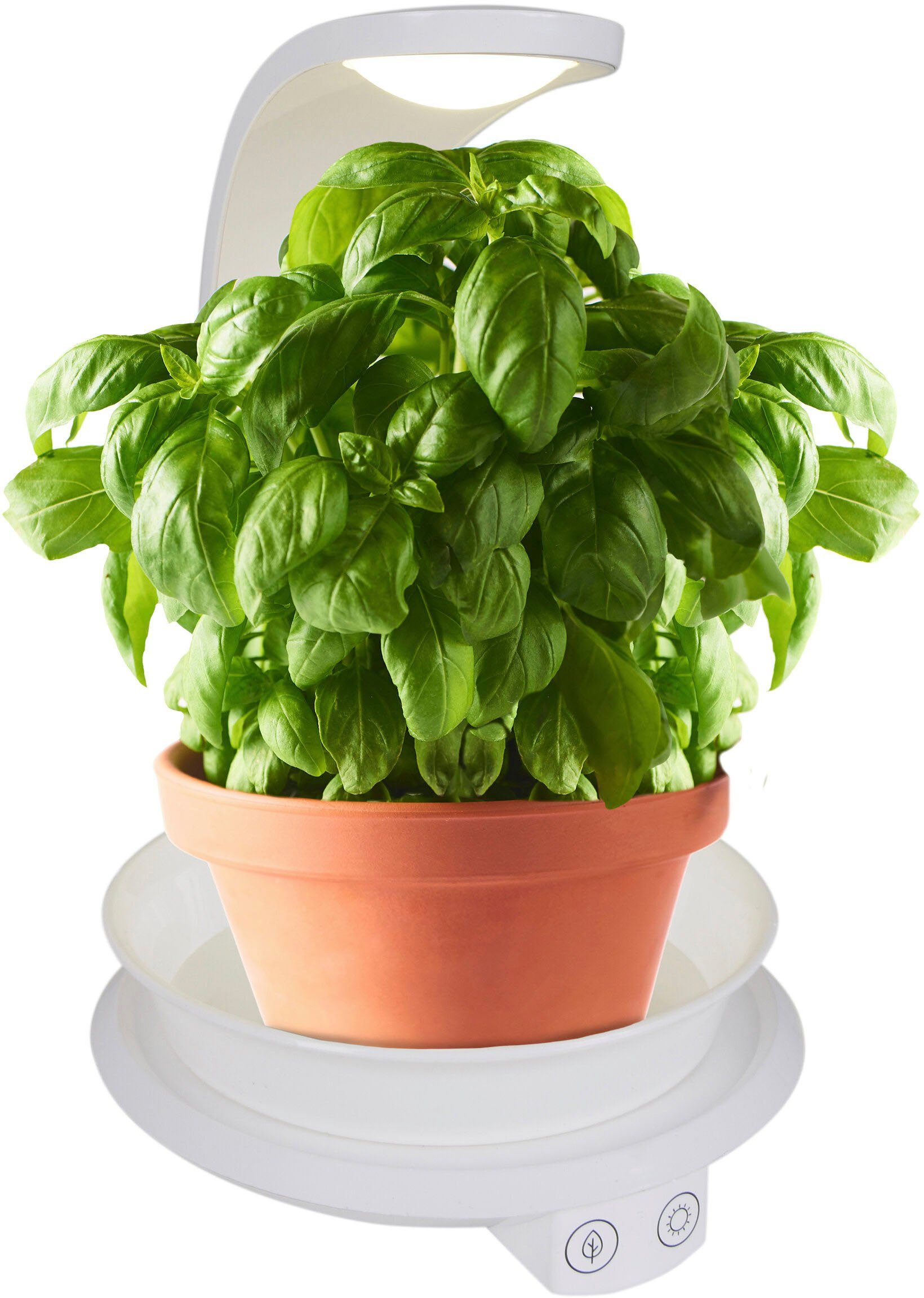 näve Led-tafellamp Grow Light Groeilamp, plantenlicht (paars) en neutraal wit, USB-kabel (1 stuk)