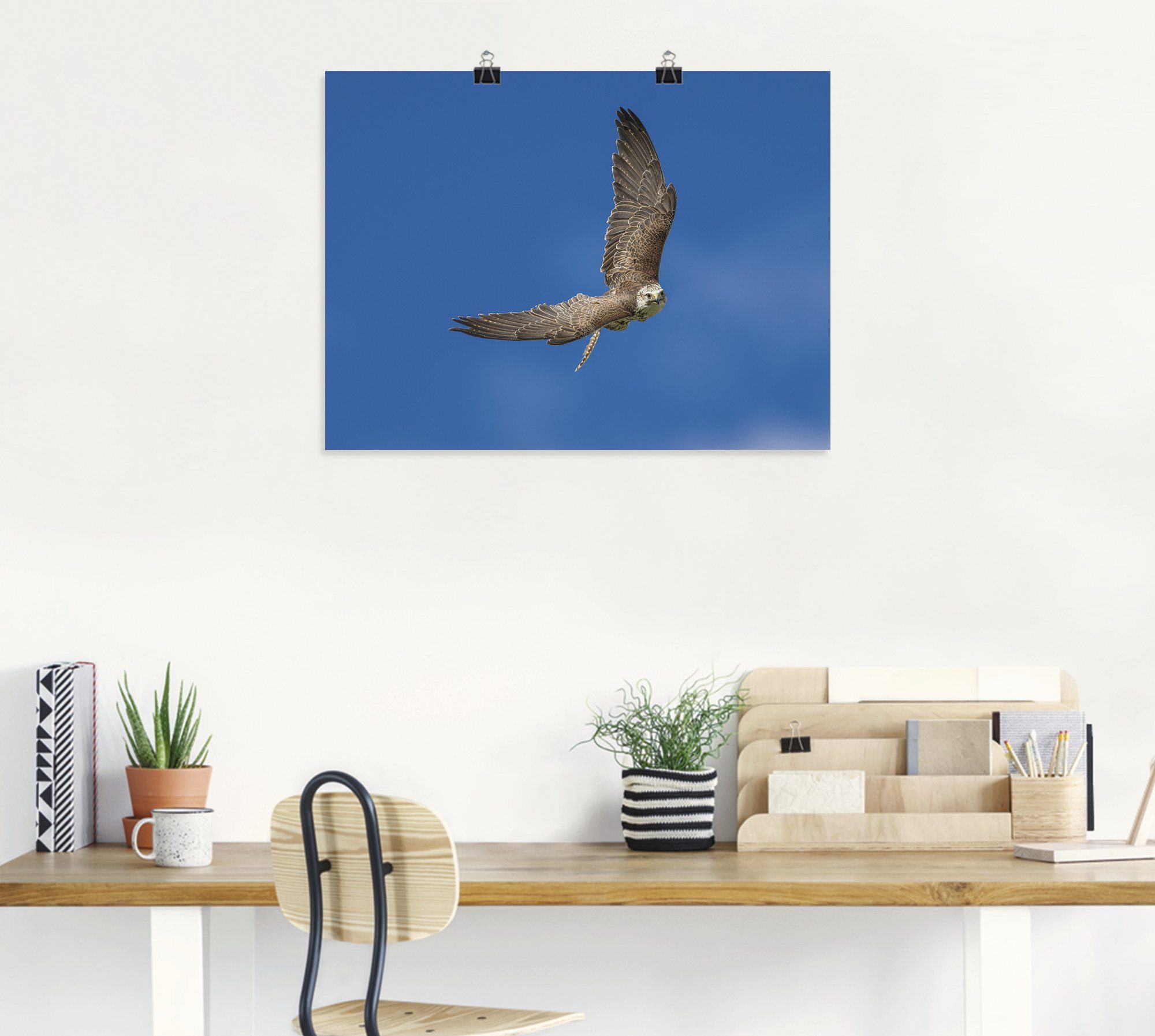 Artland Artprint De valk als artprint op linnen, poster in verschillende formaten maten
