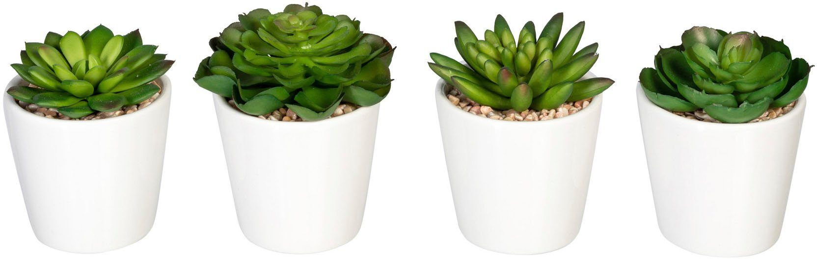 Creativ green Kunst-potplanten Echeverien in keramische pot, set van 4