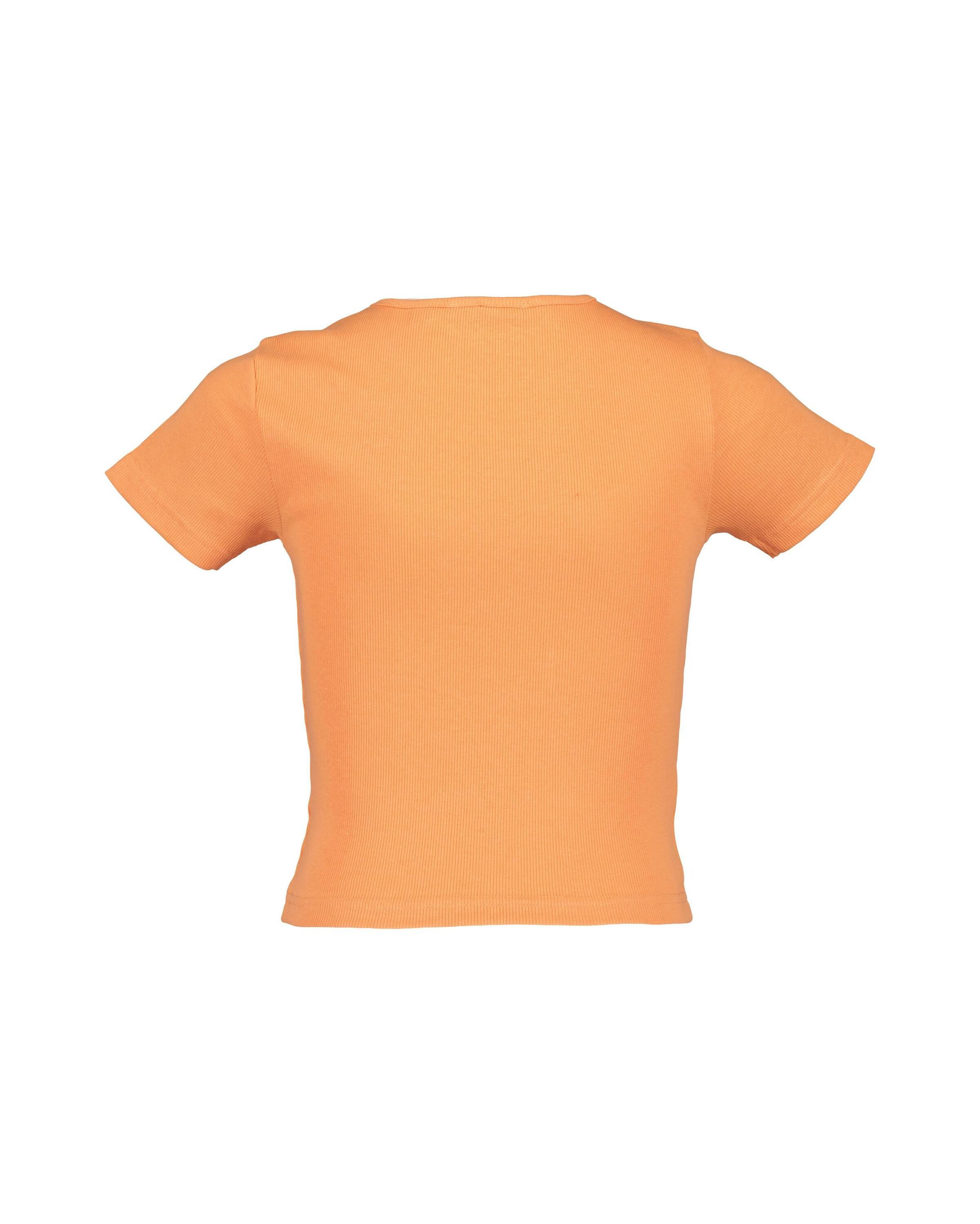 Blue Seven T-shirt Blue Seven tiener meisjes T-shirts 2-pack ronde hals (2-delig)