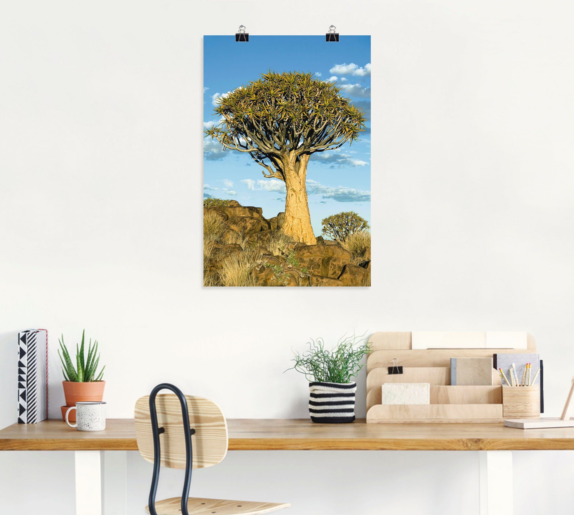 Artland Artprint Kokerboom als artprint van aluminium, artprint op linnen, muursticker of poster in verschillende maten