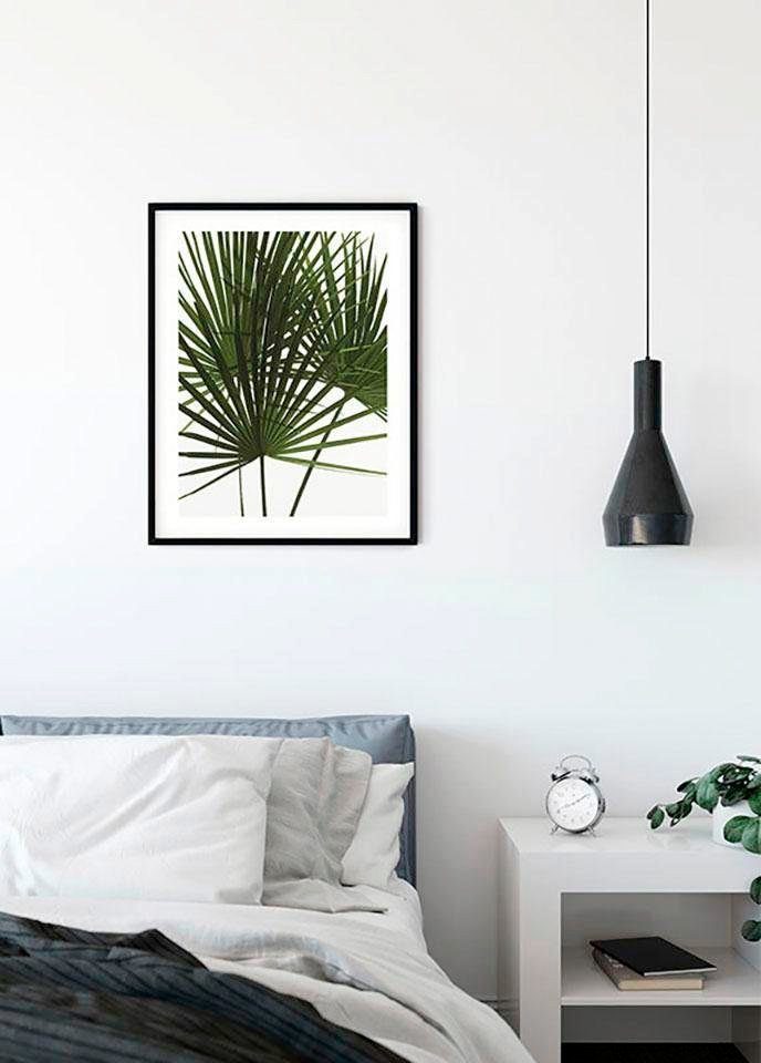 Komar Wanddecoratie Palmtree Leaves Wanddecoratie - zonder lijst (1 stuk)