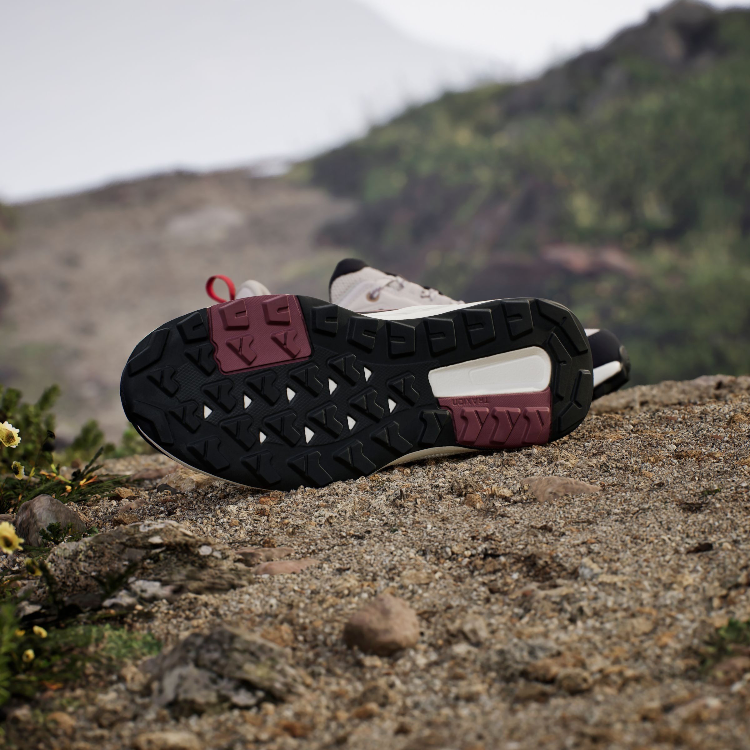 adidas TERREX Wandelschoenen TERREX ANYLANDER