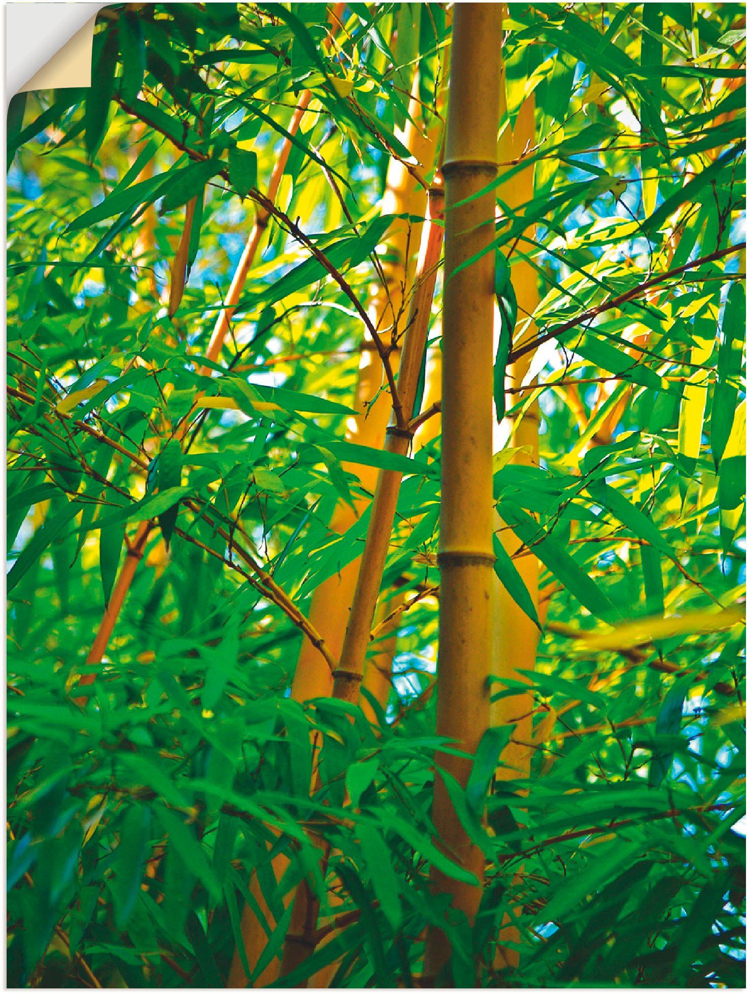 Artland Artprint Bamboe close-ups (1 stuk)