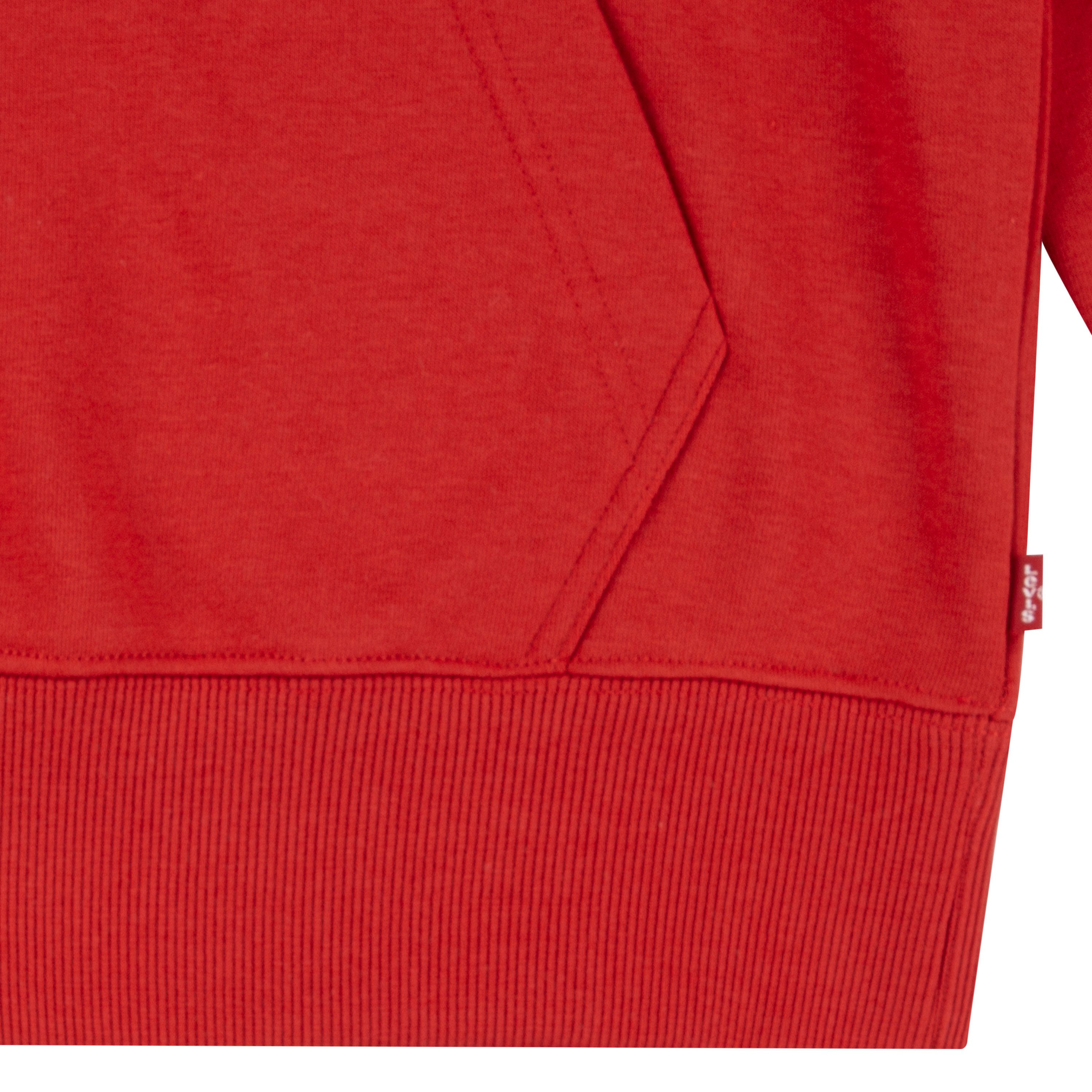 Levi's Kidswear Hoodie LVB MINI BATWING PULL OVER HOO