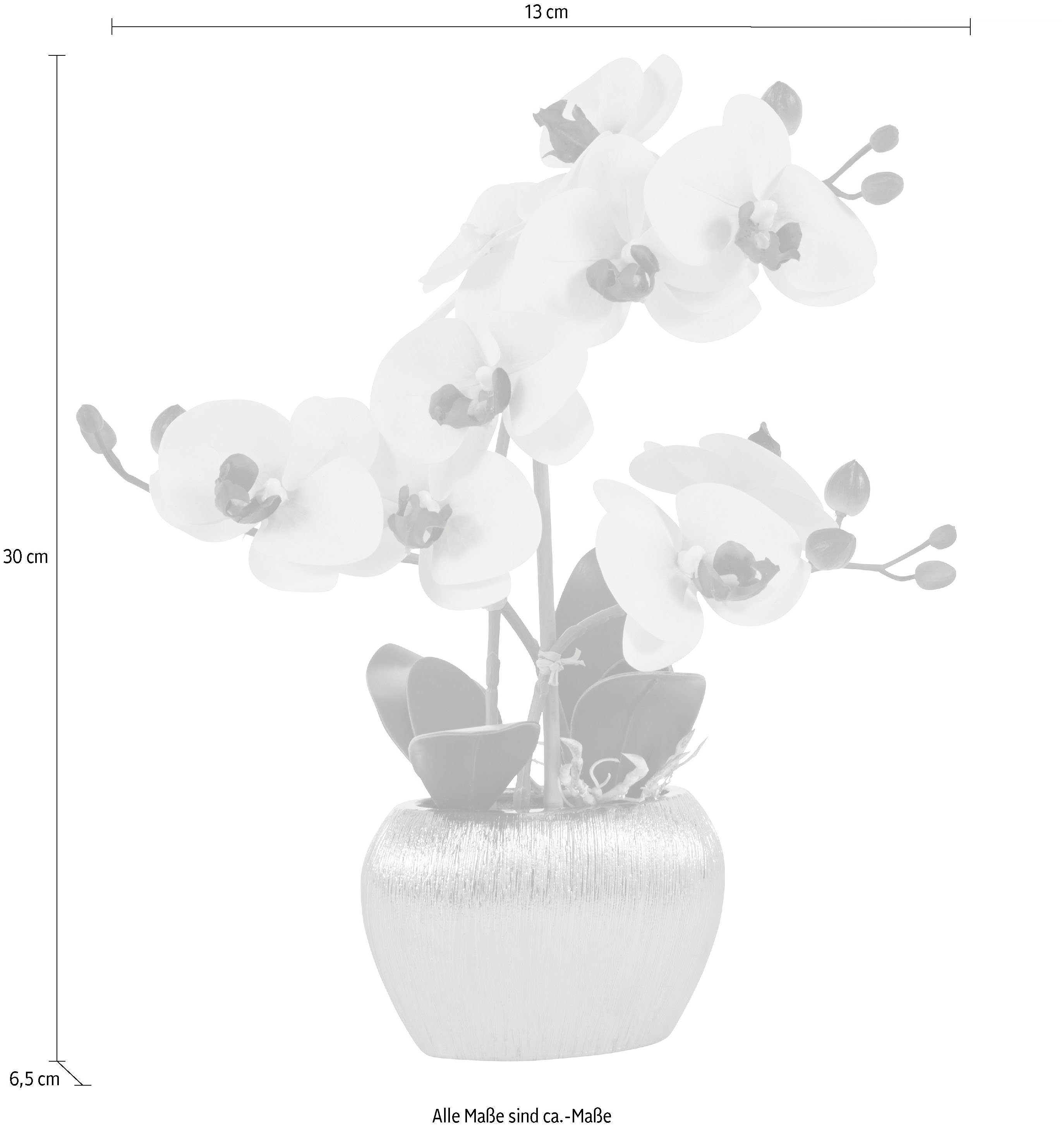 Home affaire Kunstplant Orchidee Kunstorchidee, in een pot (1 stuk)