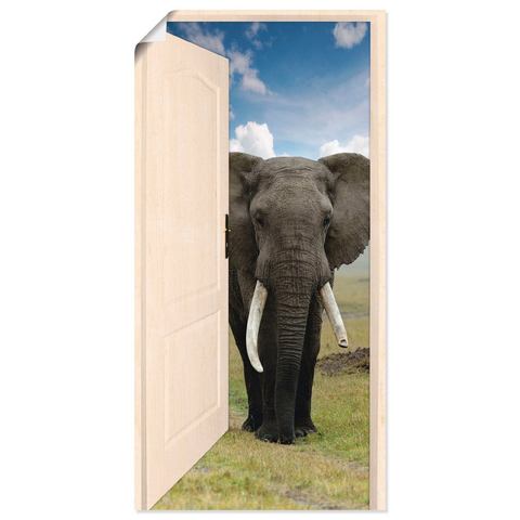 Artland artprint Offene weiße Türe mit Blick auf Elefant