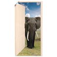 artland artprint open witte deur met blik op olifant in vele afmetingen  productsoorten - artprint van aluminium - artprint voor buiten, artprint op linnen, poster, muursticker - wandfolie ook geschikt voor de badkamer (1 stuk) grijs