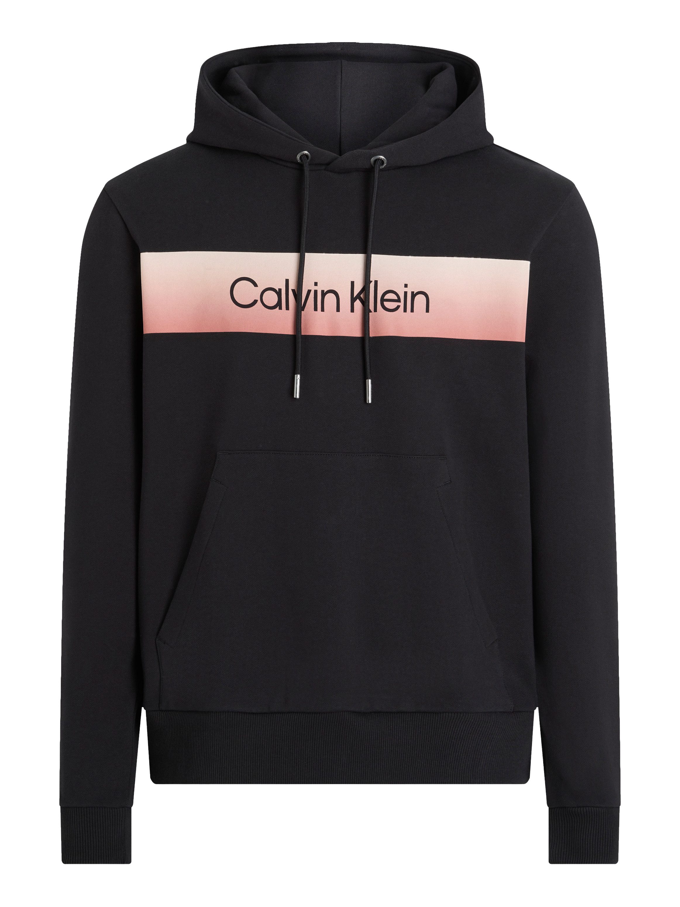 Calvin Klein Hoodie LINEAR OMBRE CHEST LOGO HOODIE