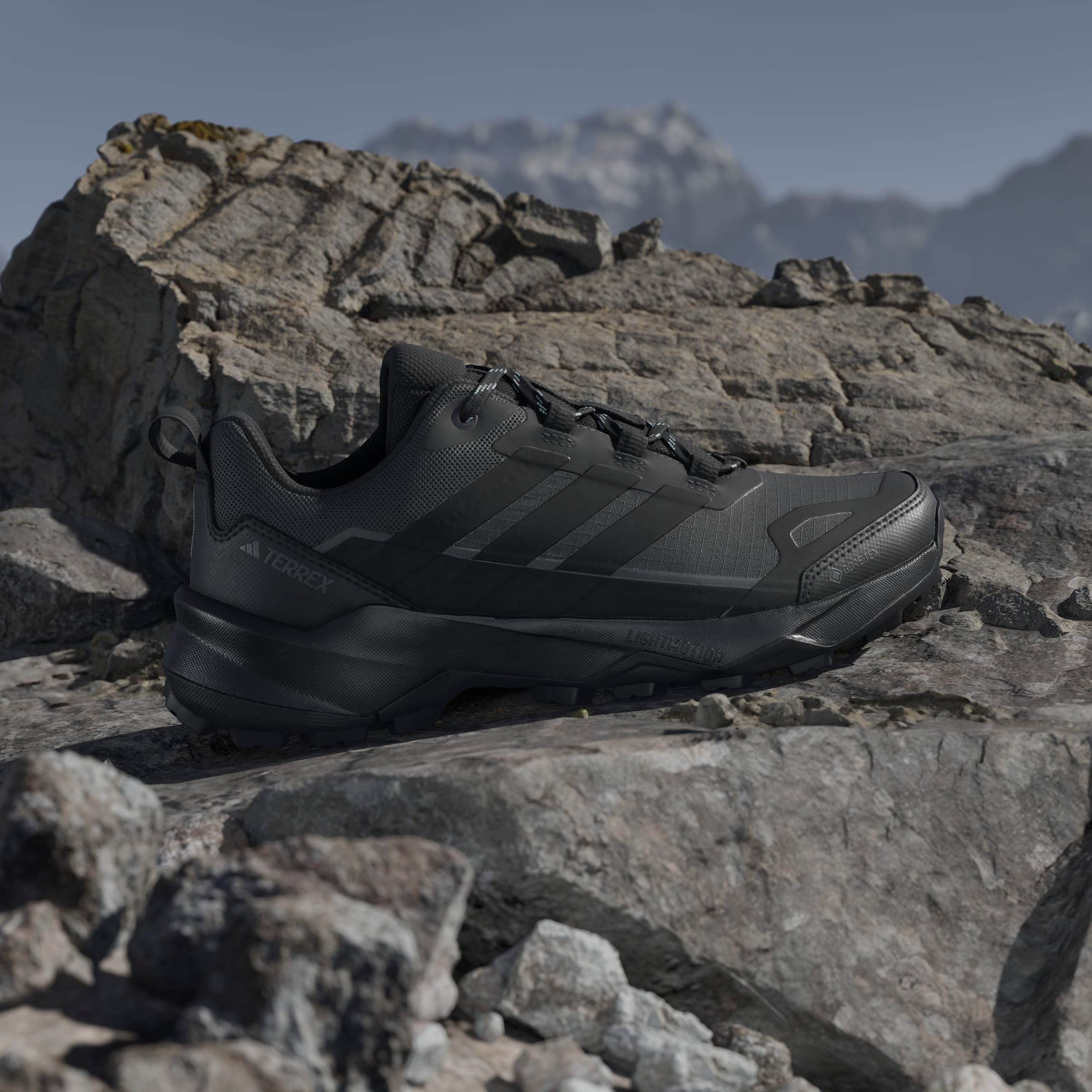 adidas TERREX Wandelschoenen TERREX SKYCHASER AX5 GORE-TEX E