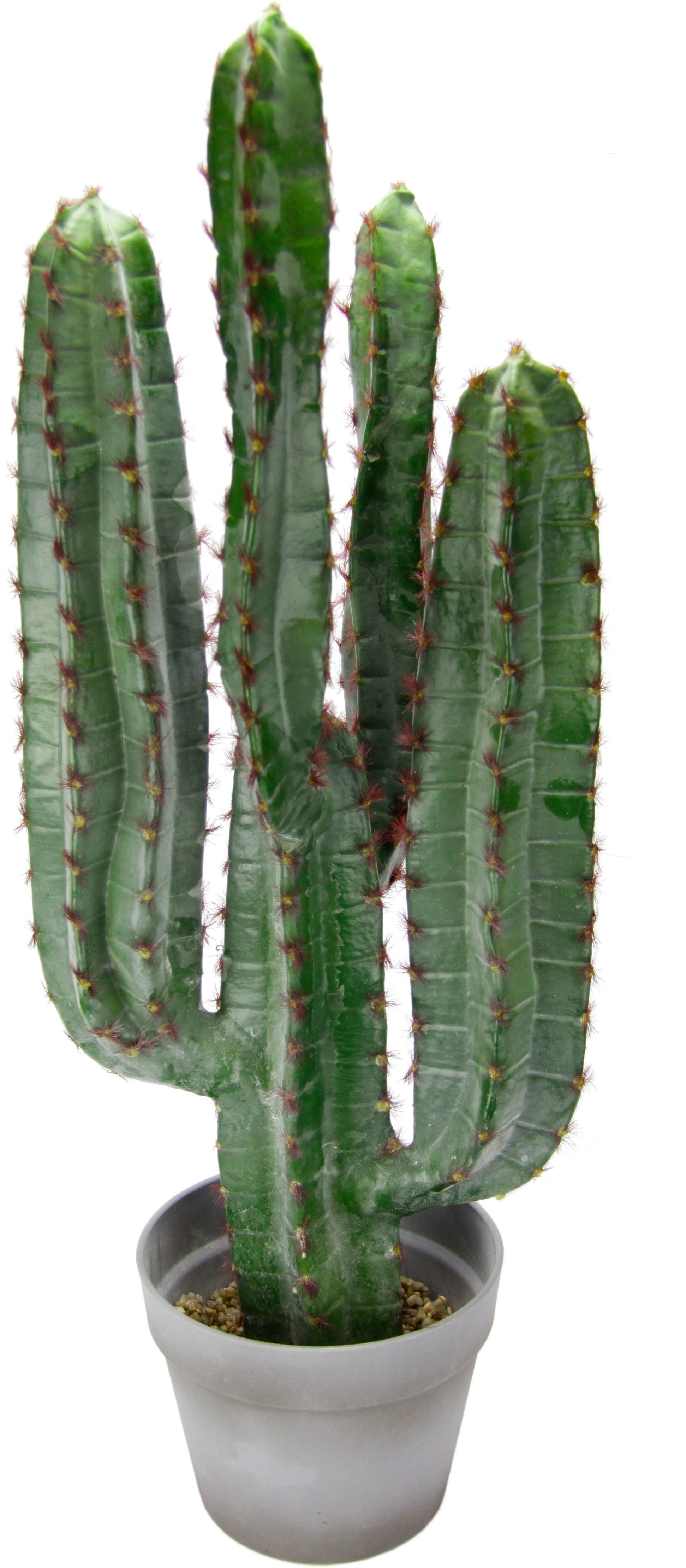 I.GE.A. Kunstplant Zuilcactus (1 stuk)