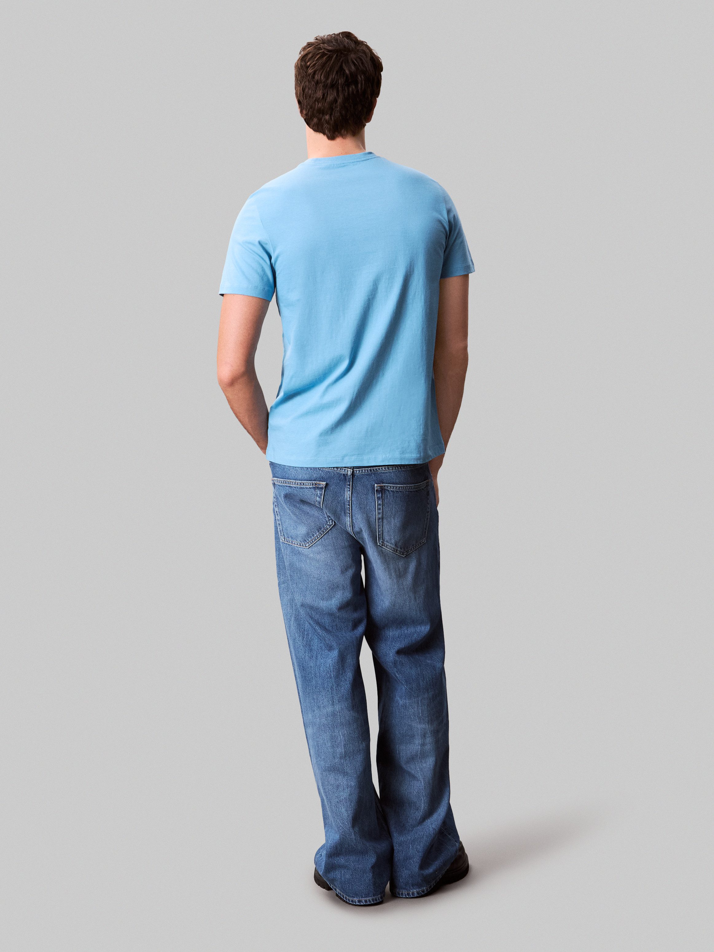 Calvin Klein T-shirt SS 30s E CLVN LN 3D