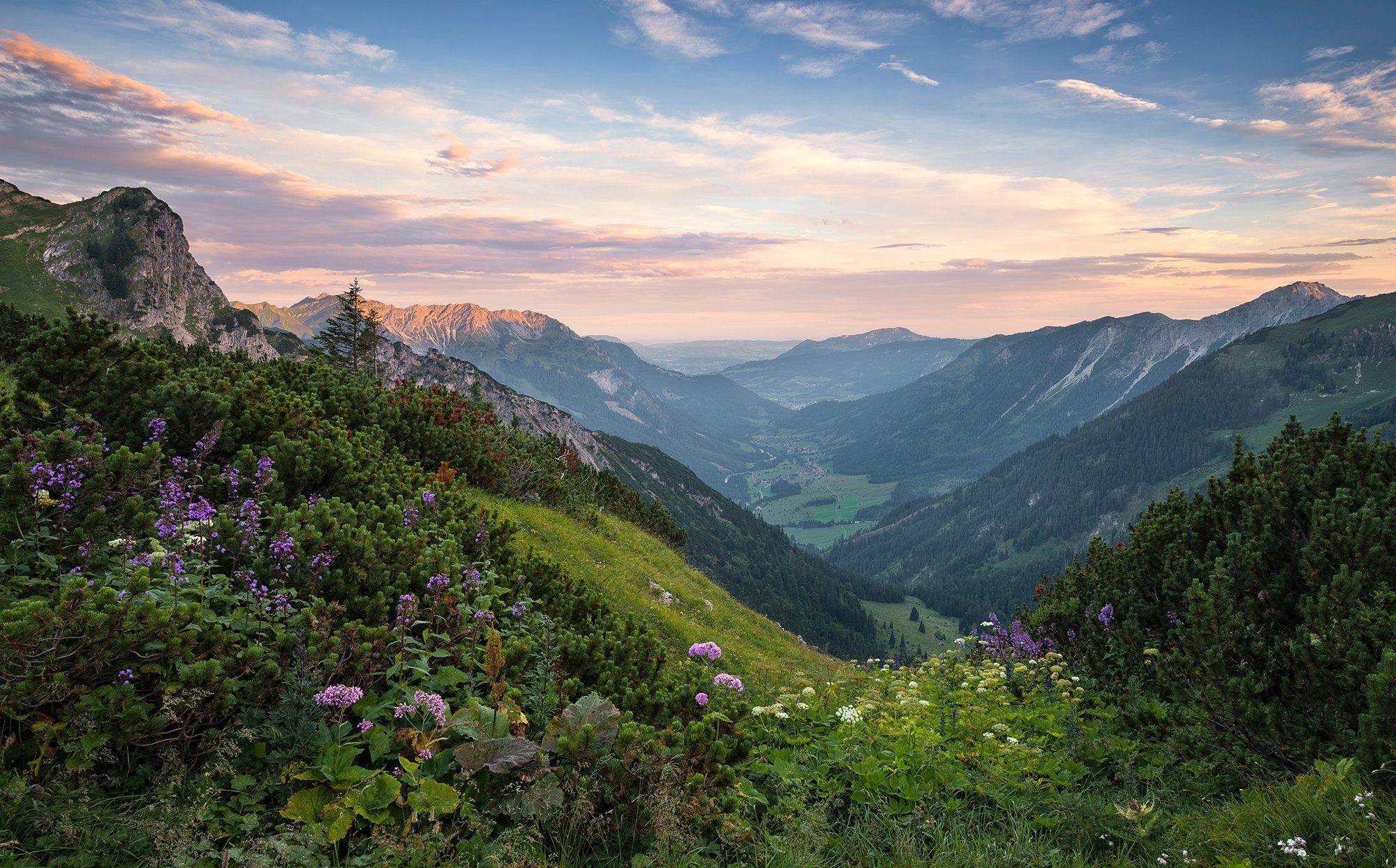 Komar fotobehang Naturpark Allgäuer Hochalpen