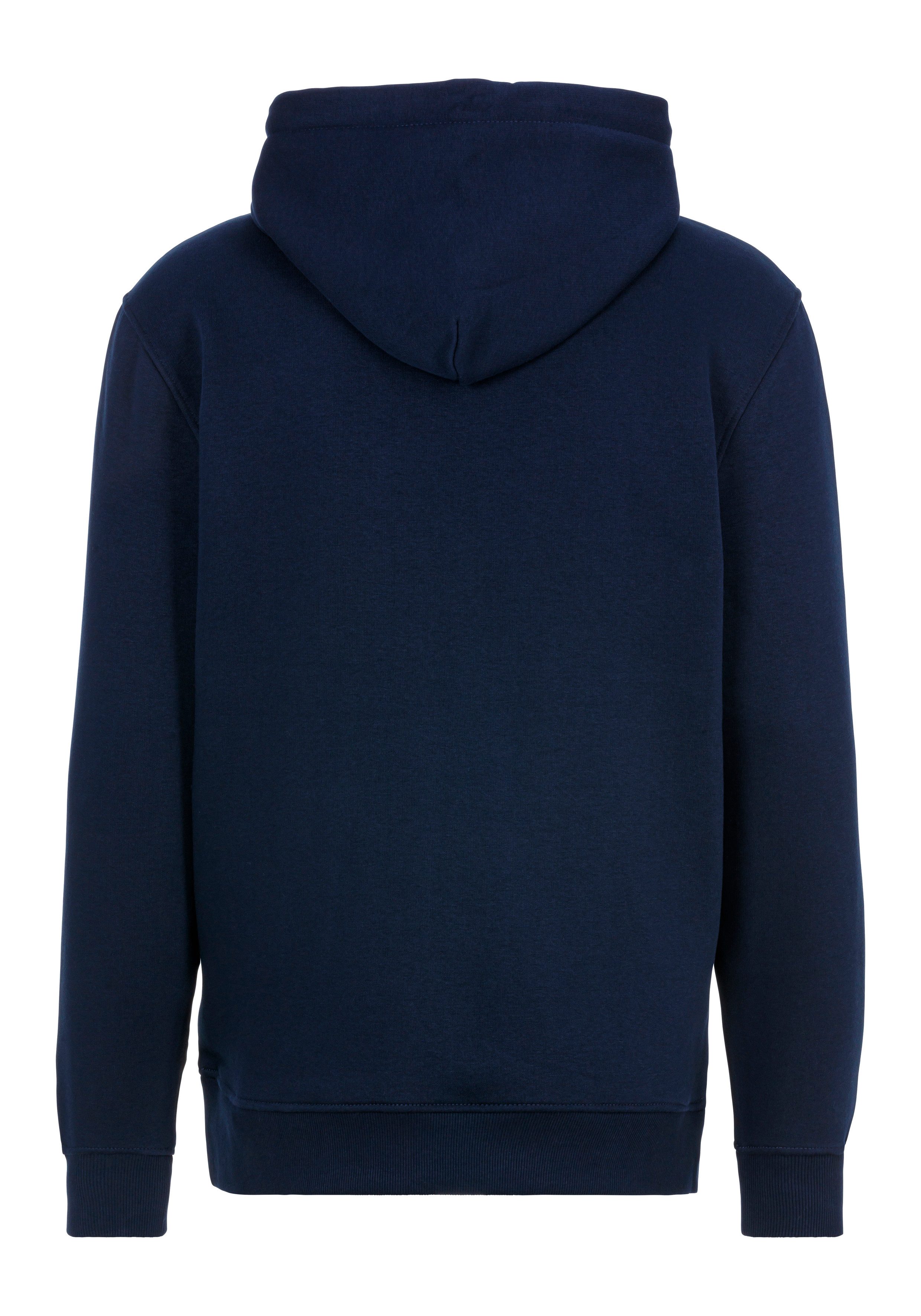 TOMMY JEANS Hoodie TJM REG LINEAR LOGO HOODIE EXT