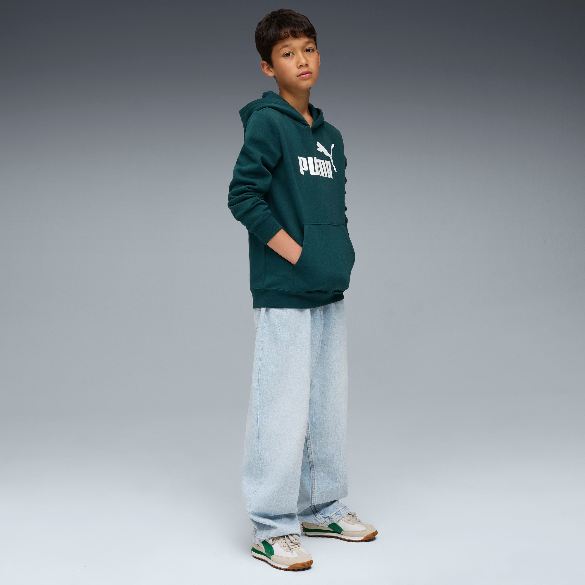 PUMA Hoodie ESS NO. 1 LOGO HOODIE FL B