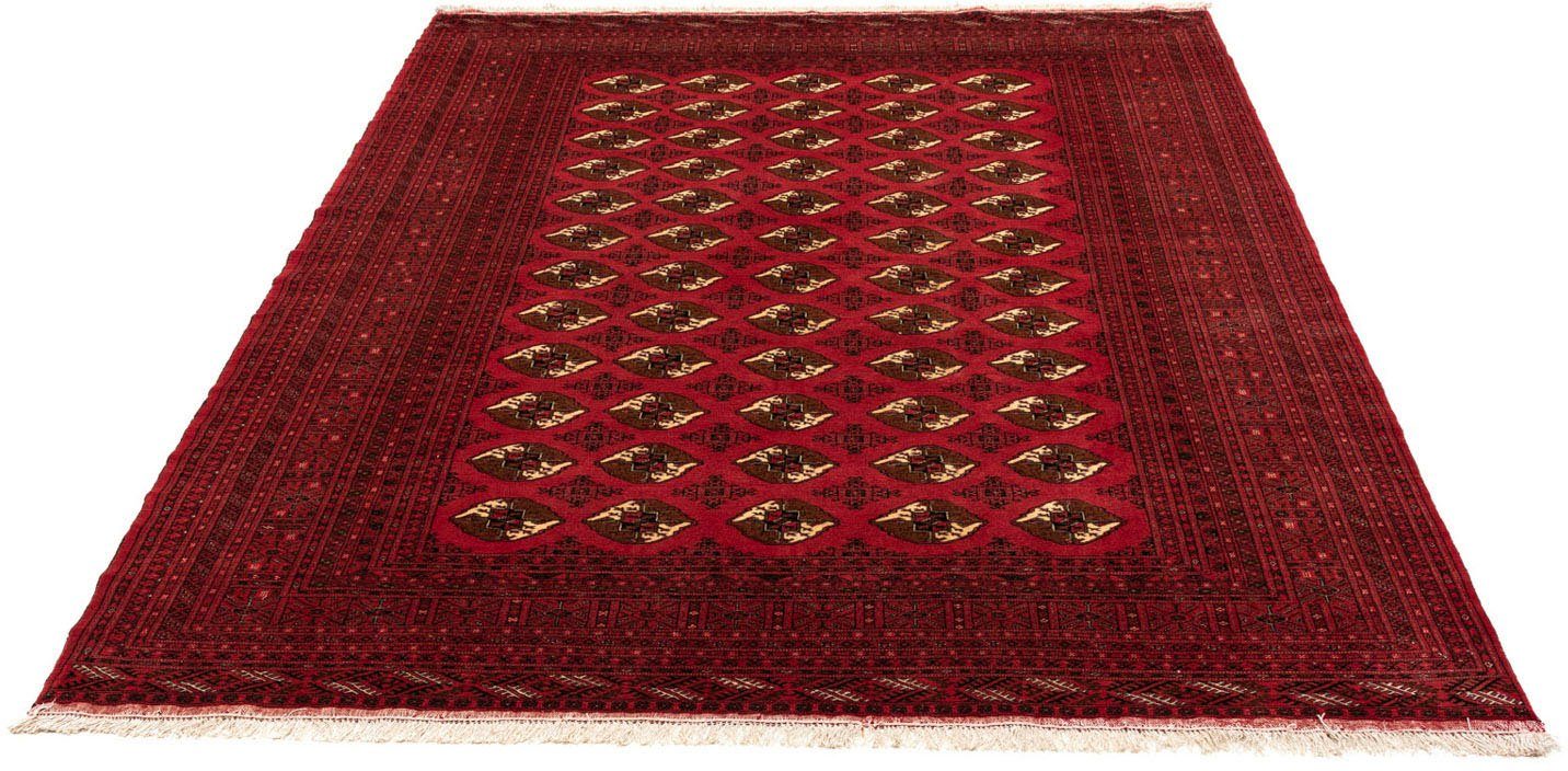 morgenland Wollen kleed Shiraz medaillon rosso 320 x 212 cm Uniek exemplaar met certificaat