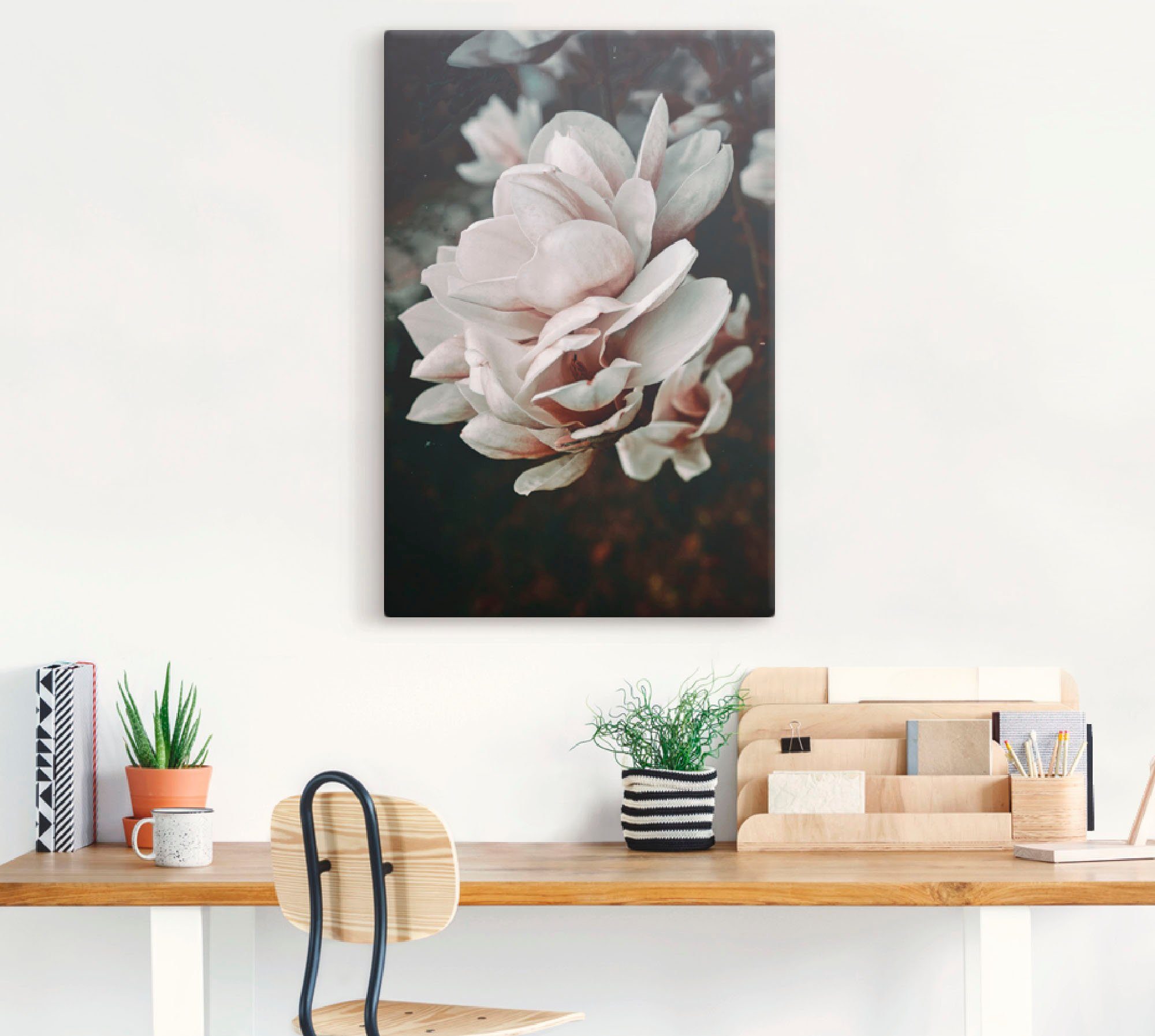 Artland Artprint Magnolia II als artprint van aluminium, artprint op linnen, muursticker of poster in verschillende maten
