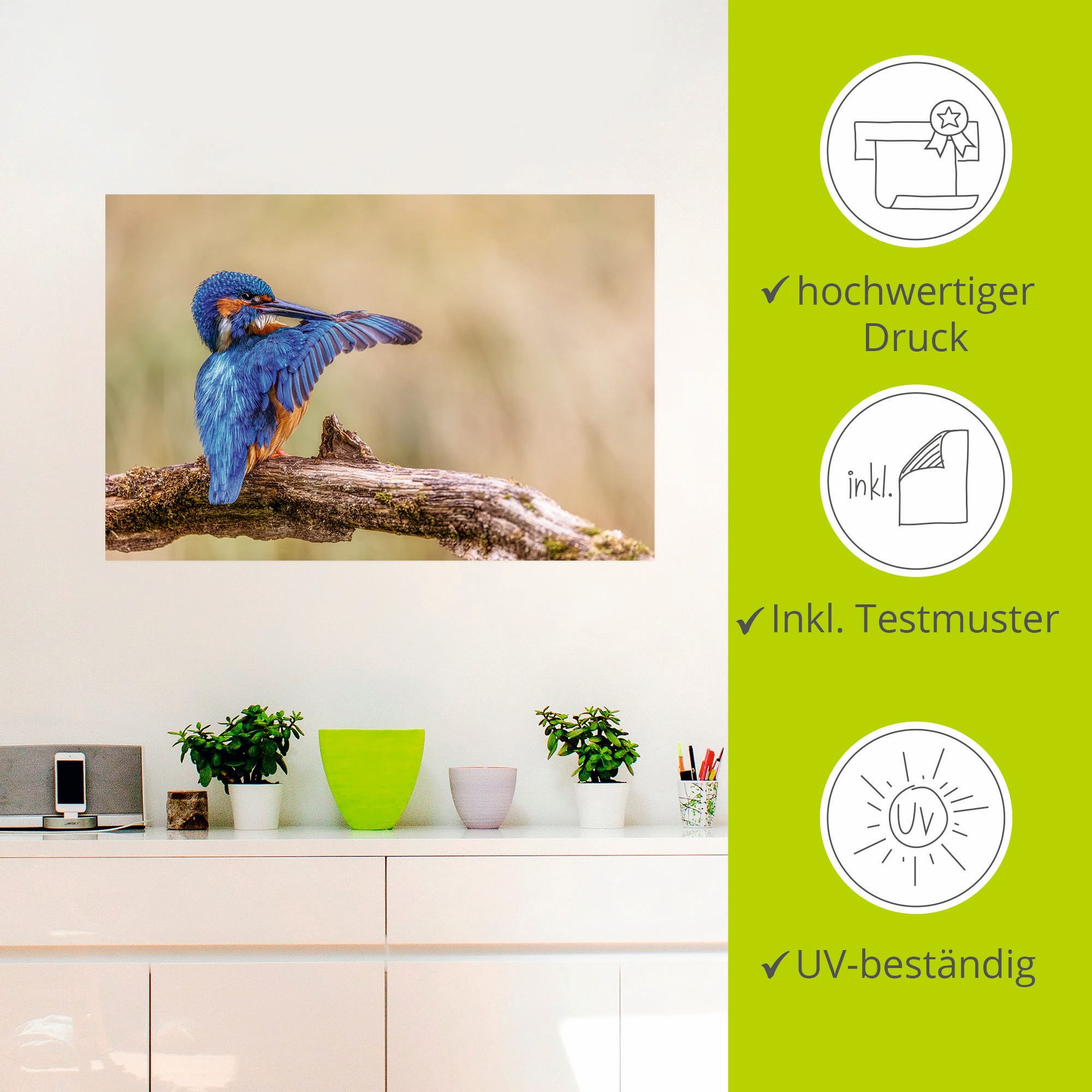 Artland Aluminium dibond print Ijsvogel II