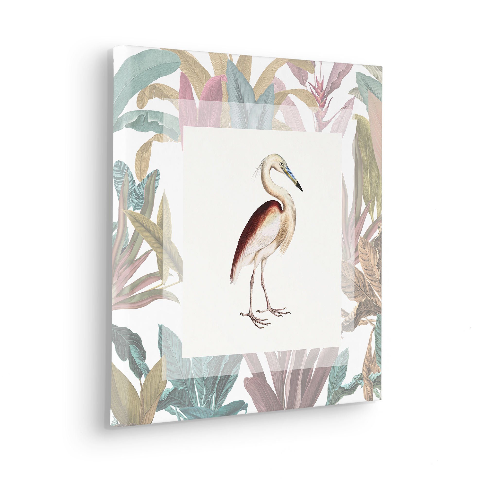 Komar Artprint op linnen Uncommon Bird - Afmeting 40 x 40 cm (1 stuk)