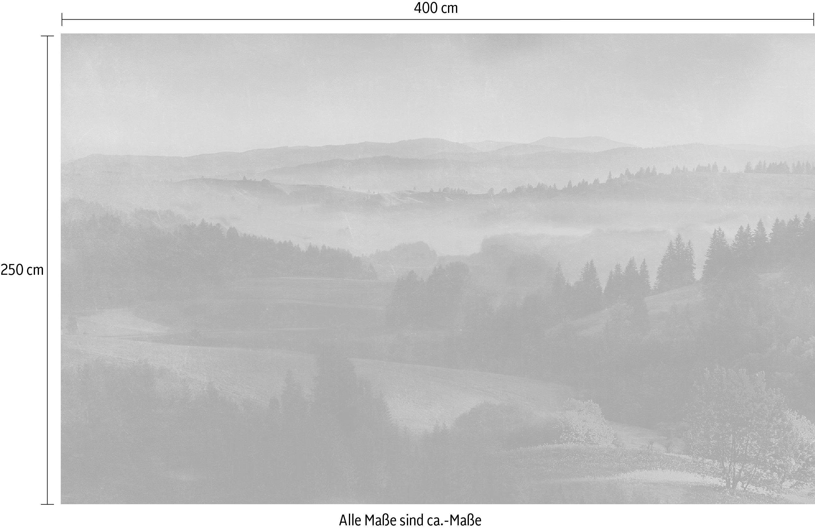 Komar Vliesbehang Digitale print vlies - Twilight - Afmeting 400 x 250 cm (1 stuk)