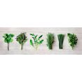 reinders! artprint op hout decoratief paneel 30x90 kitchen herbs groen
