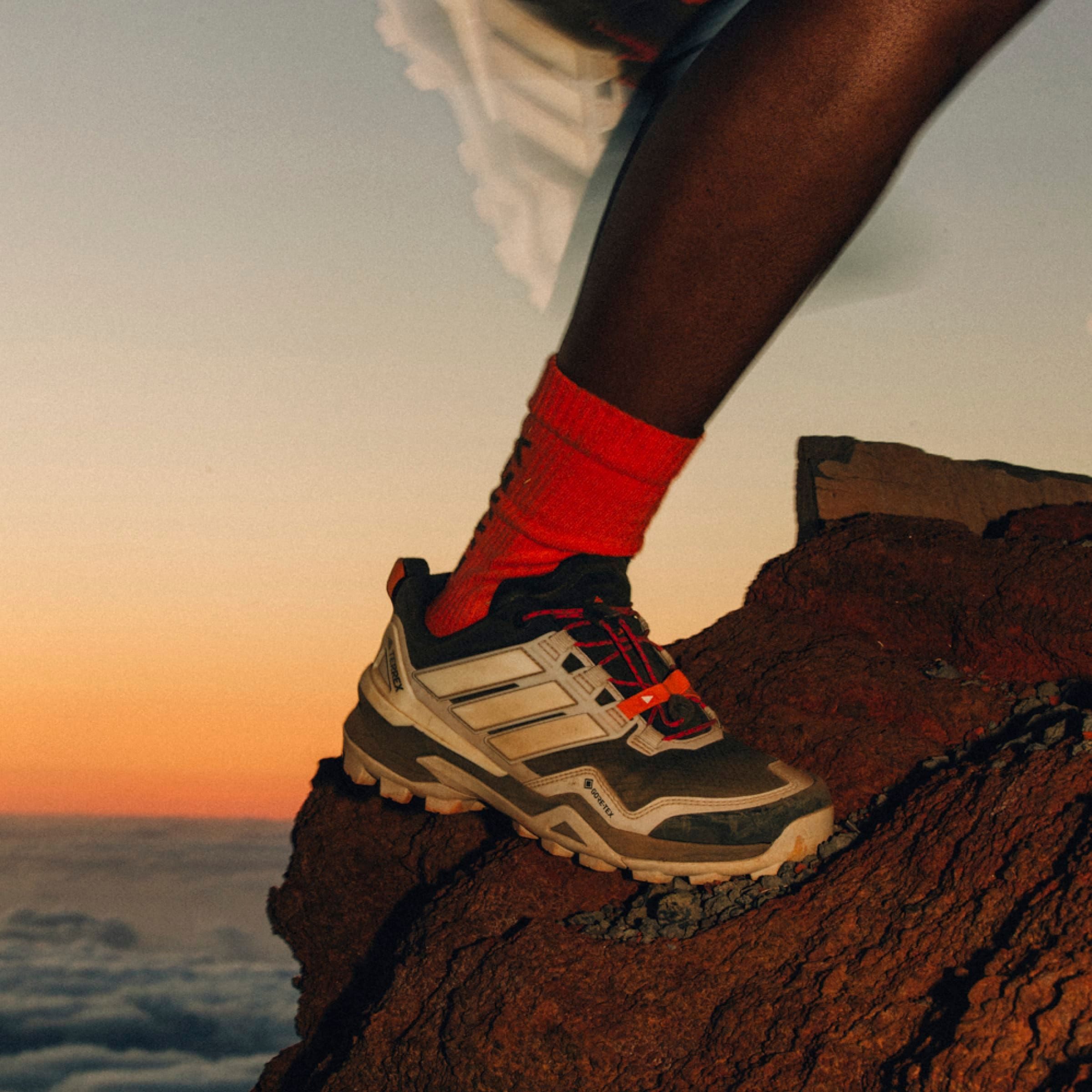 adidas TERREX Wandelschoenen TERREX SKYCHASER GORE-TEX