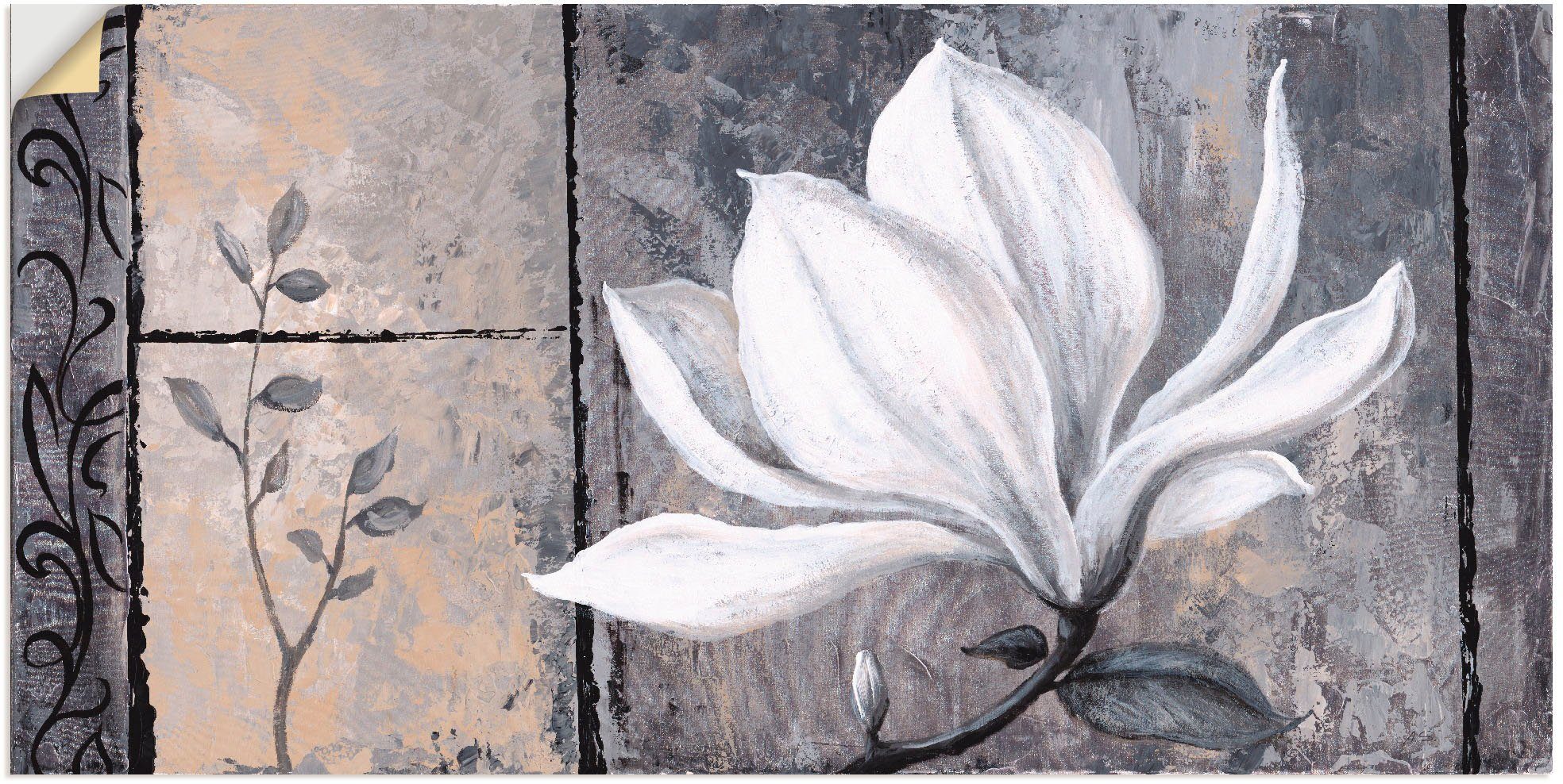 Artland Artprint Klassieke magnolia in vele afmetingen & productsoorten - artprint van aluminium / artprint voor buiten, artprint op linnen, poster, muursticker / wandfolie ook ges