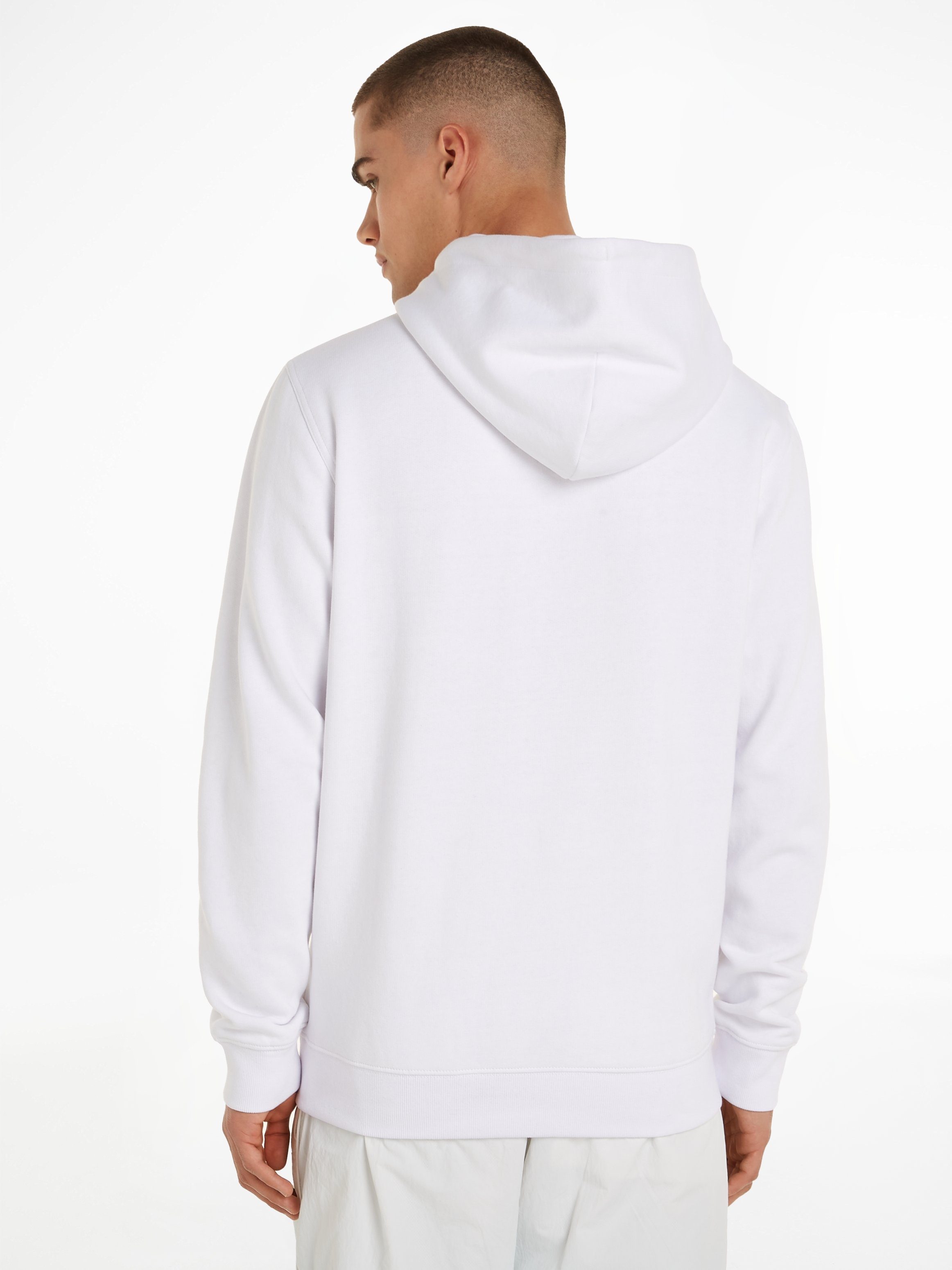 TOMMY JEANS Hoodie TJM REG LINEAR LOGO HOODIE EXT