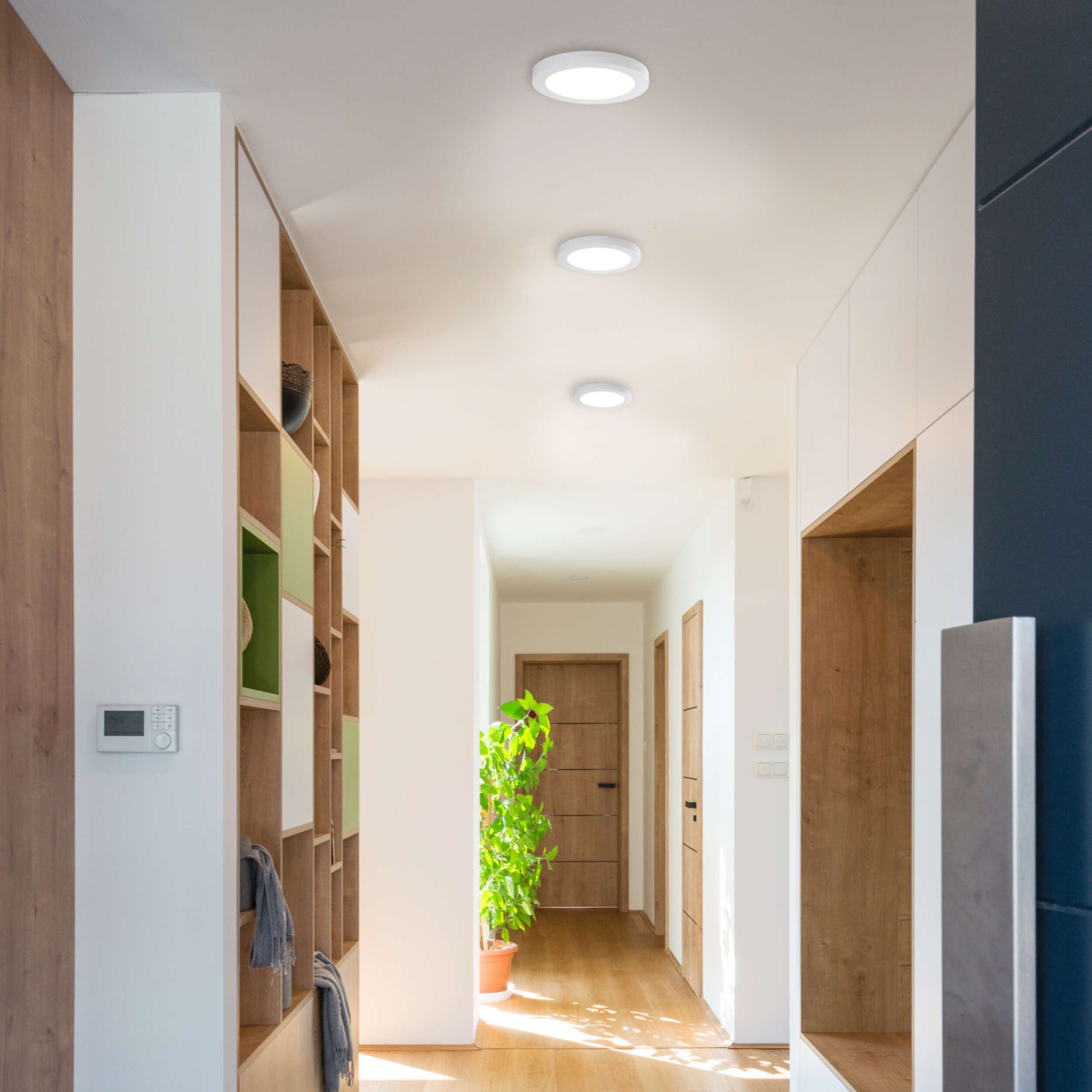näve Led-plafondlamp Bonus (1 stuk)