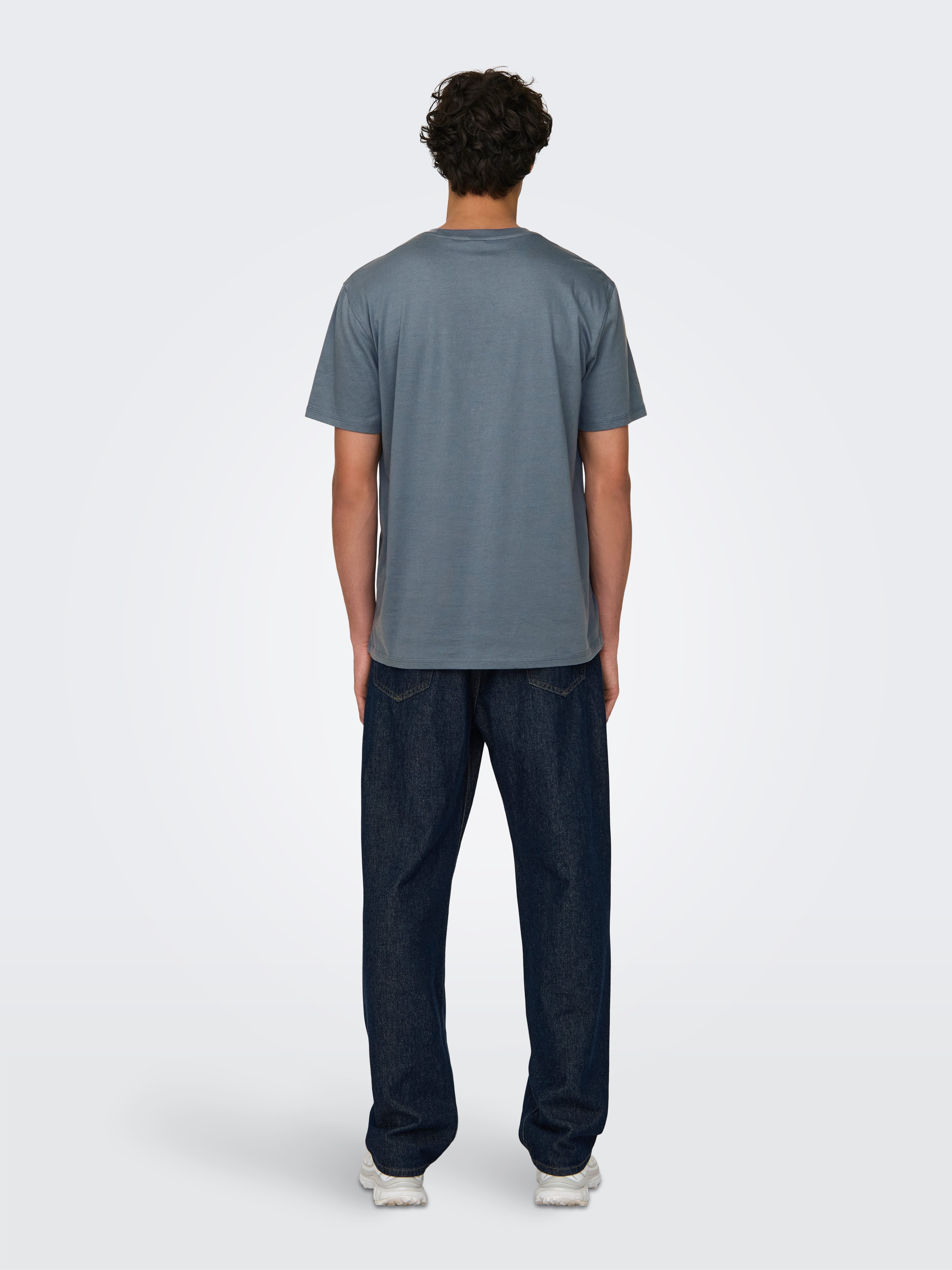 ONLY & SONS Shirt met ronde hals ONSMAX LIFE REG SS STITCH TEE