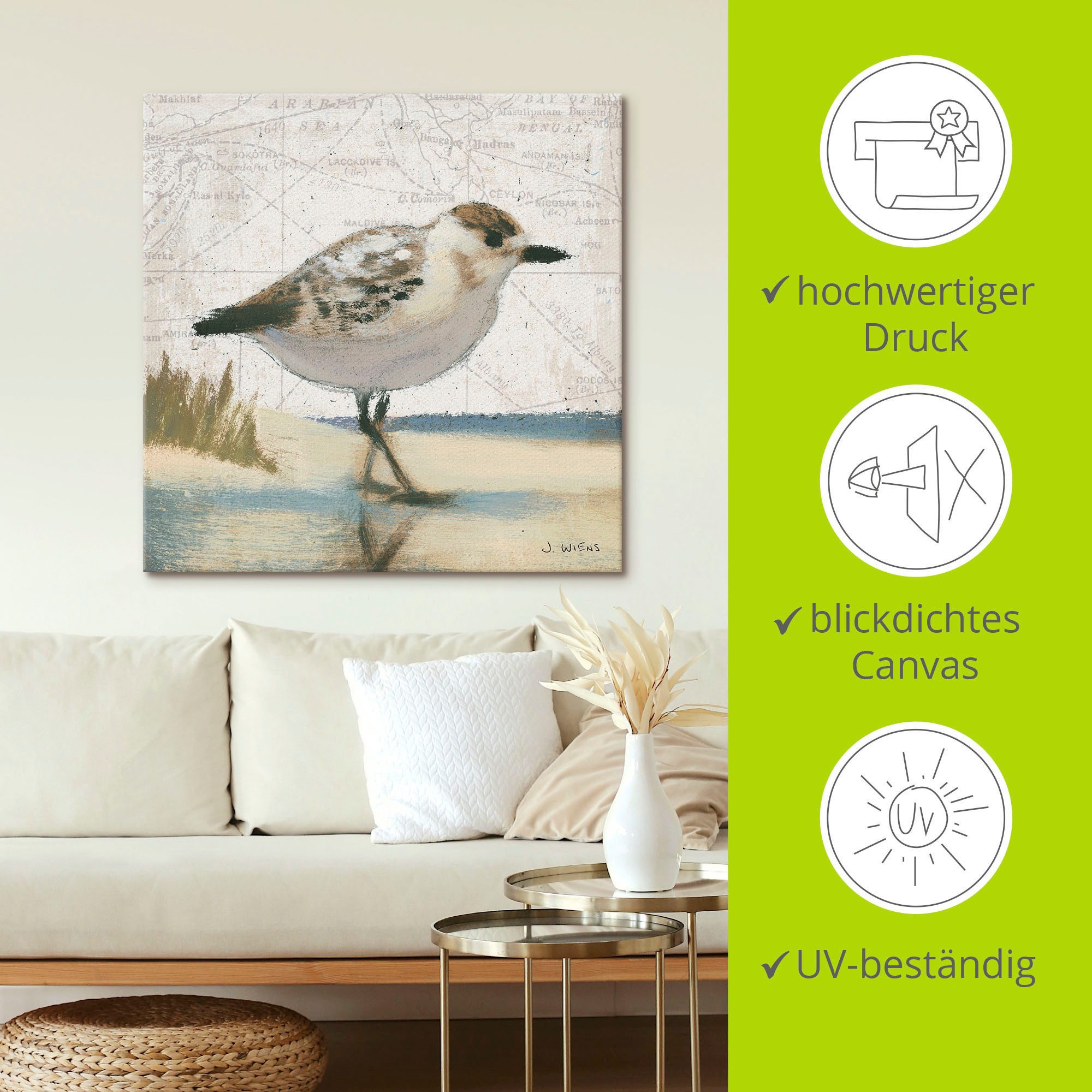 Artland Artprint Meeuw I als artprint op linnen, muursticker in verschillende maten