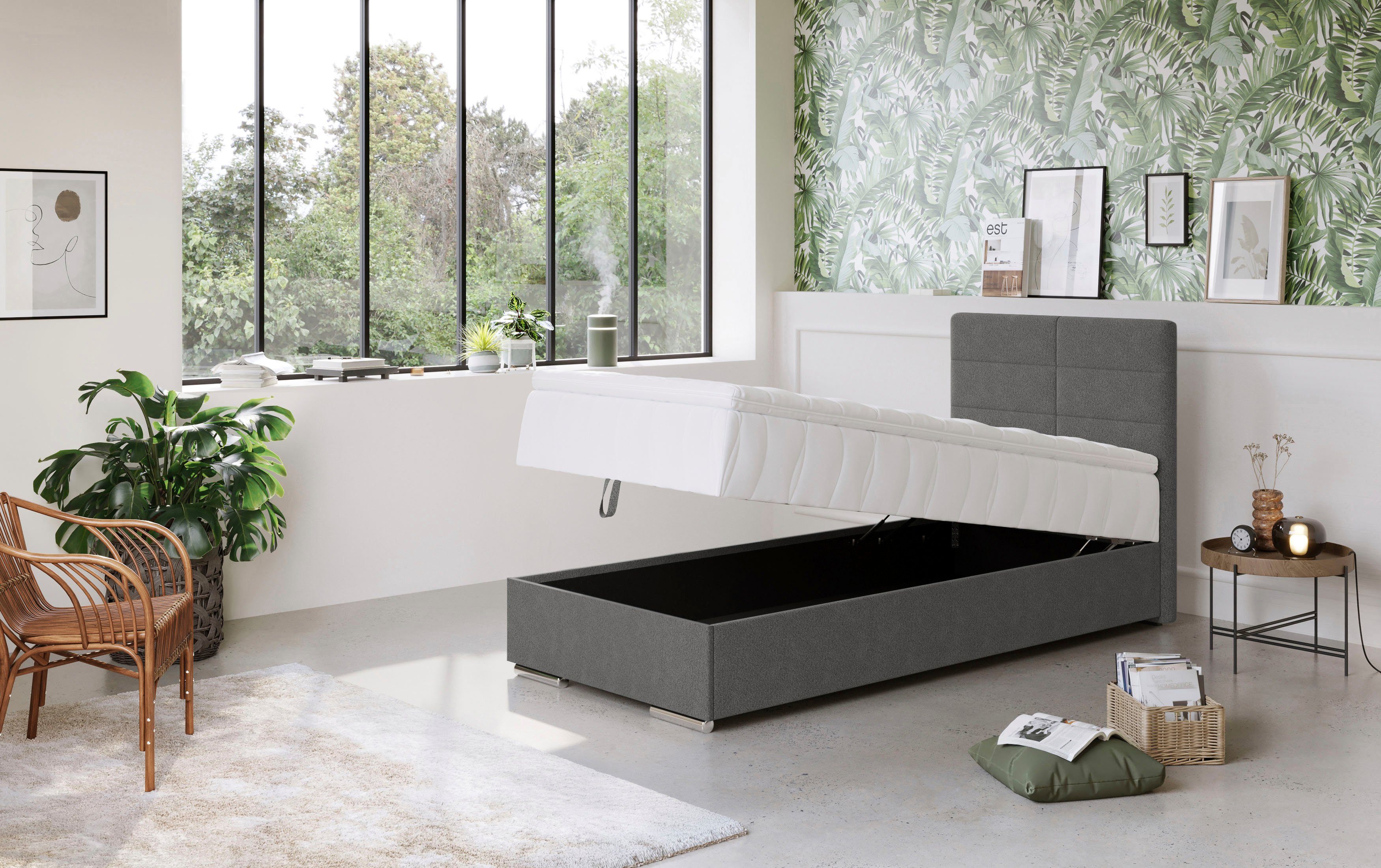 COTTA Boxspring Tom met bedkist, topmatras en sierkussen