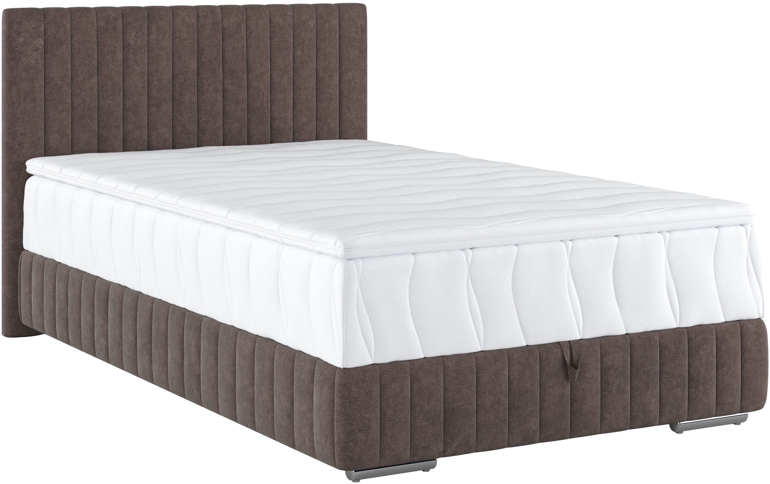 COTTA Boxspring Beetle incl. matrastopper en bedlade
