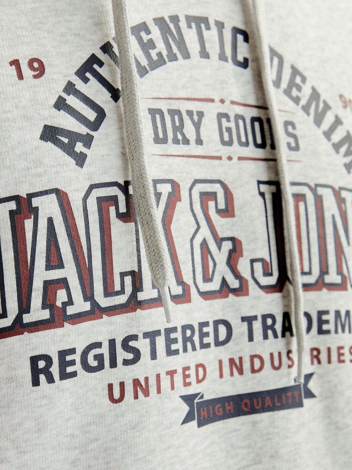 Jack & Jones Hoodie JJELOGO SWEAT HOOD 2 COL 24 25 NOOS