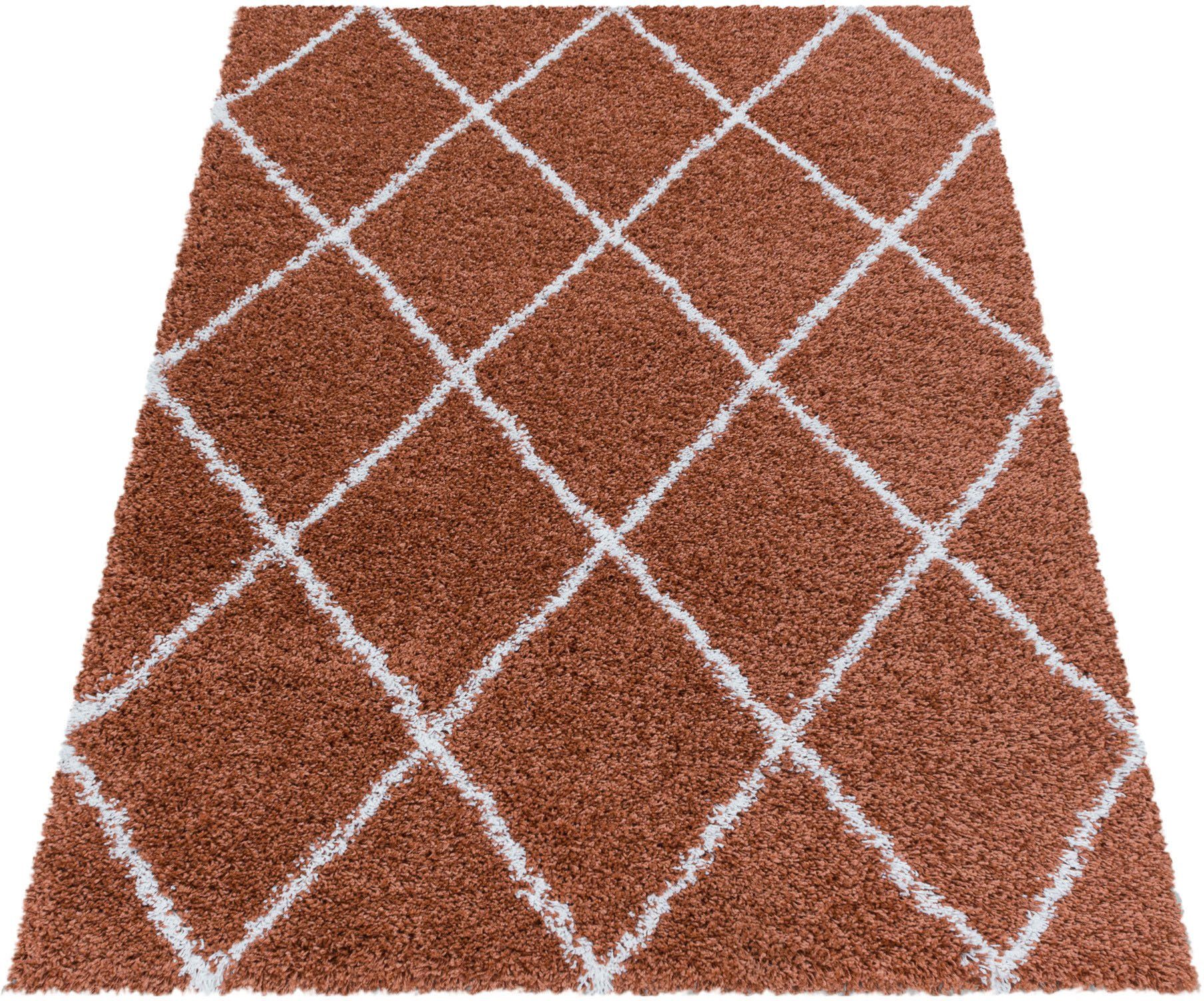 Ayyildiz Teppiche Hoogpolig vloerkleed ALVOR 3401