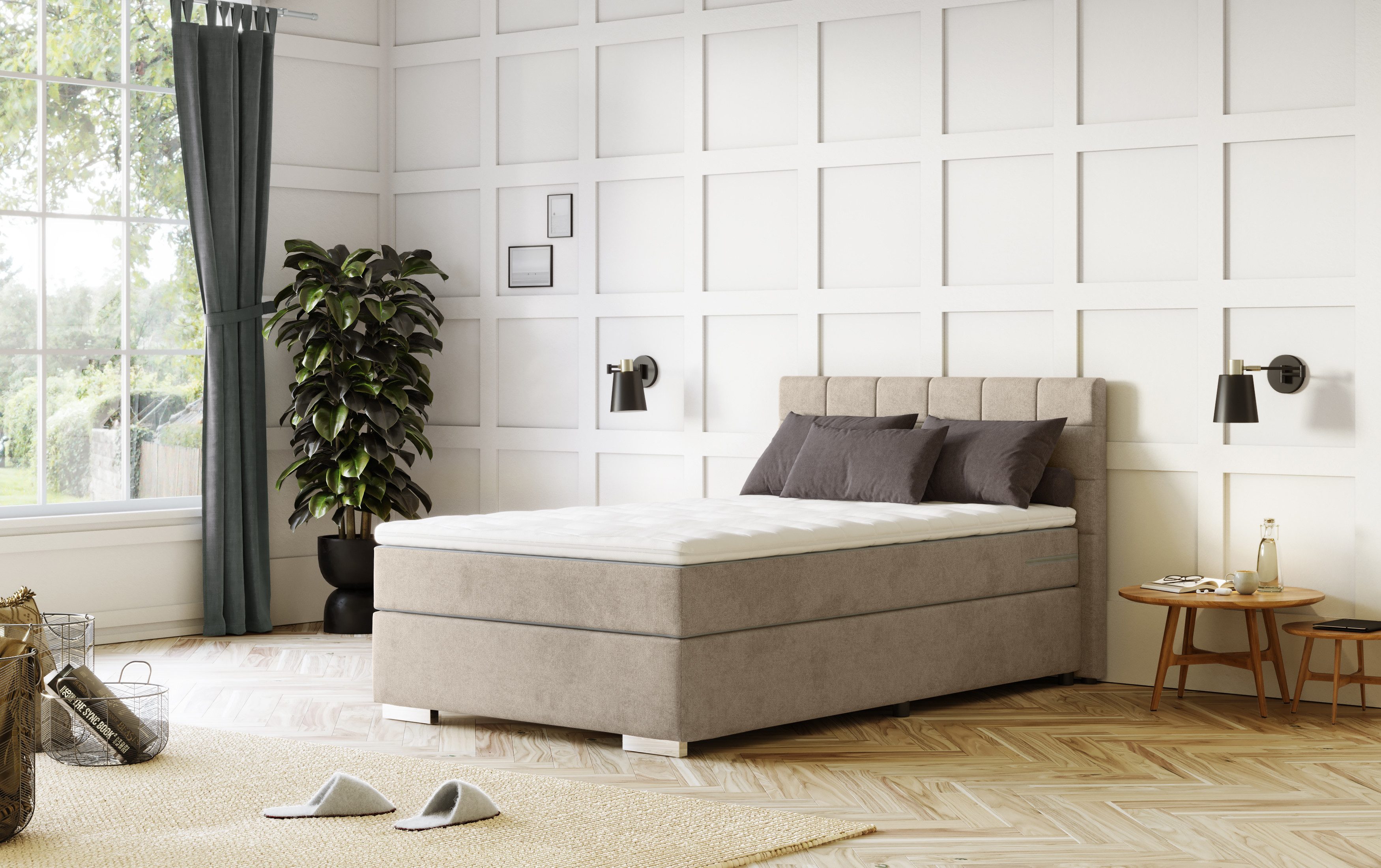 COTTA Boxspring Simba