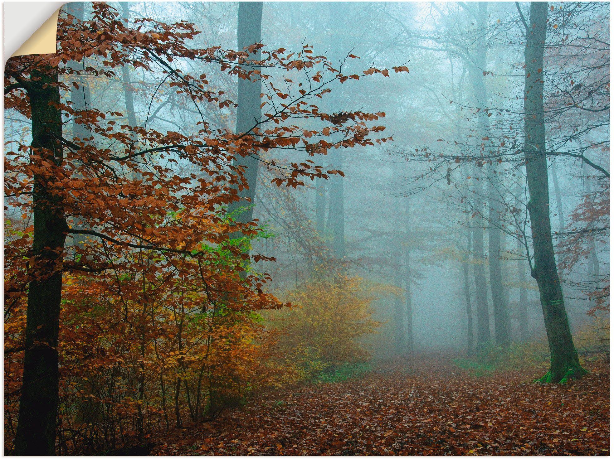 Artland artprint Nebel im Herbstwald