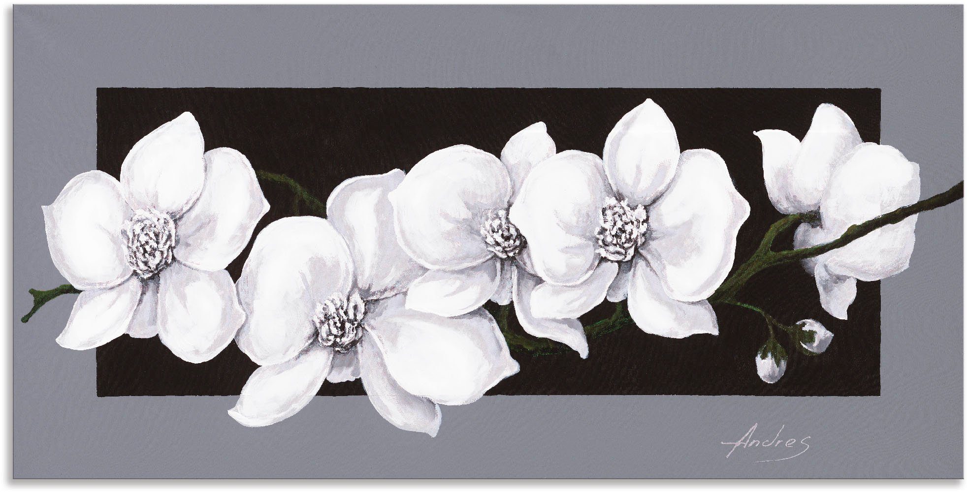 Artland Artprint Witte orchideeën op grijs in vele afmetingen & productsoorten - artprint van aluminium / artprint voor buiten, artprint op linnen, poster, muursticker / wandfolie