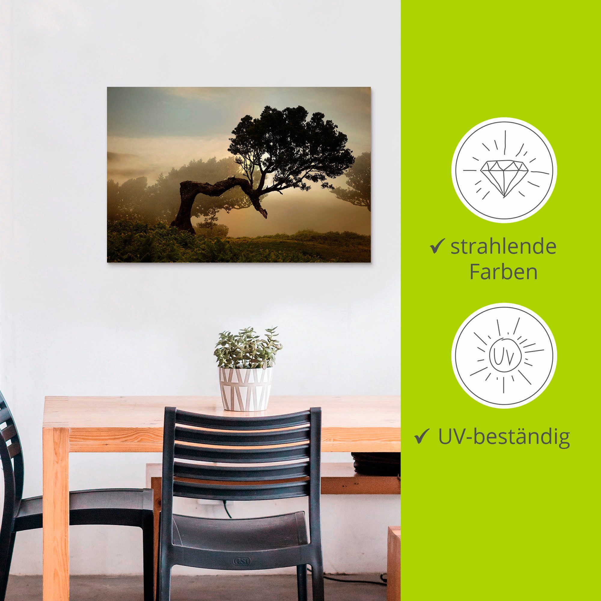 Artland Artprint Laurierboom als artprint van aluminium, artprint voor buiten, artprint op linnen, poster, muursticker