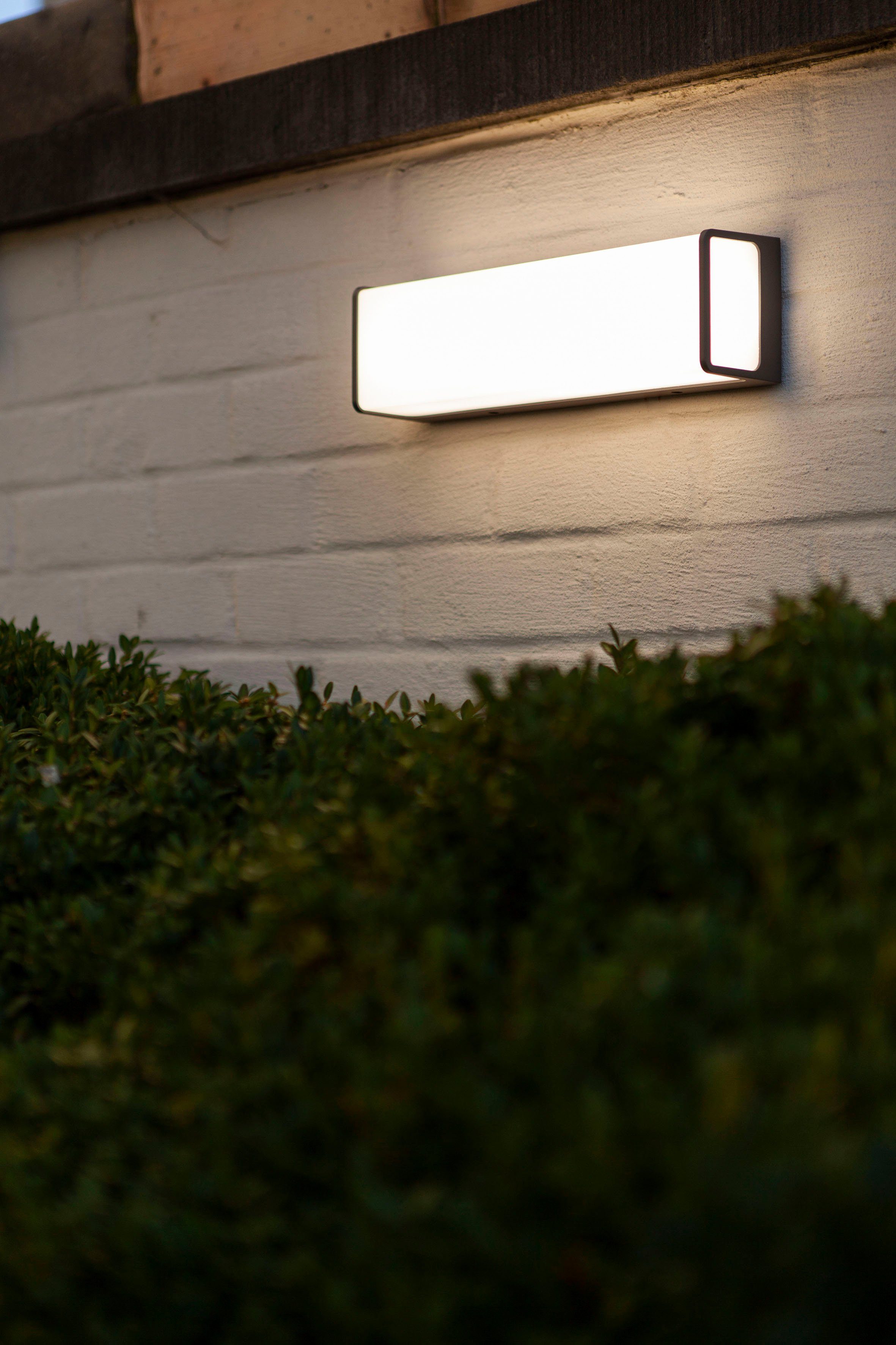 LUTEC Ledwandlamp voor buiten DOBLO (1 stuk)