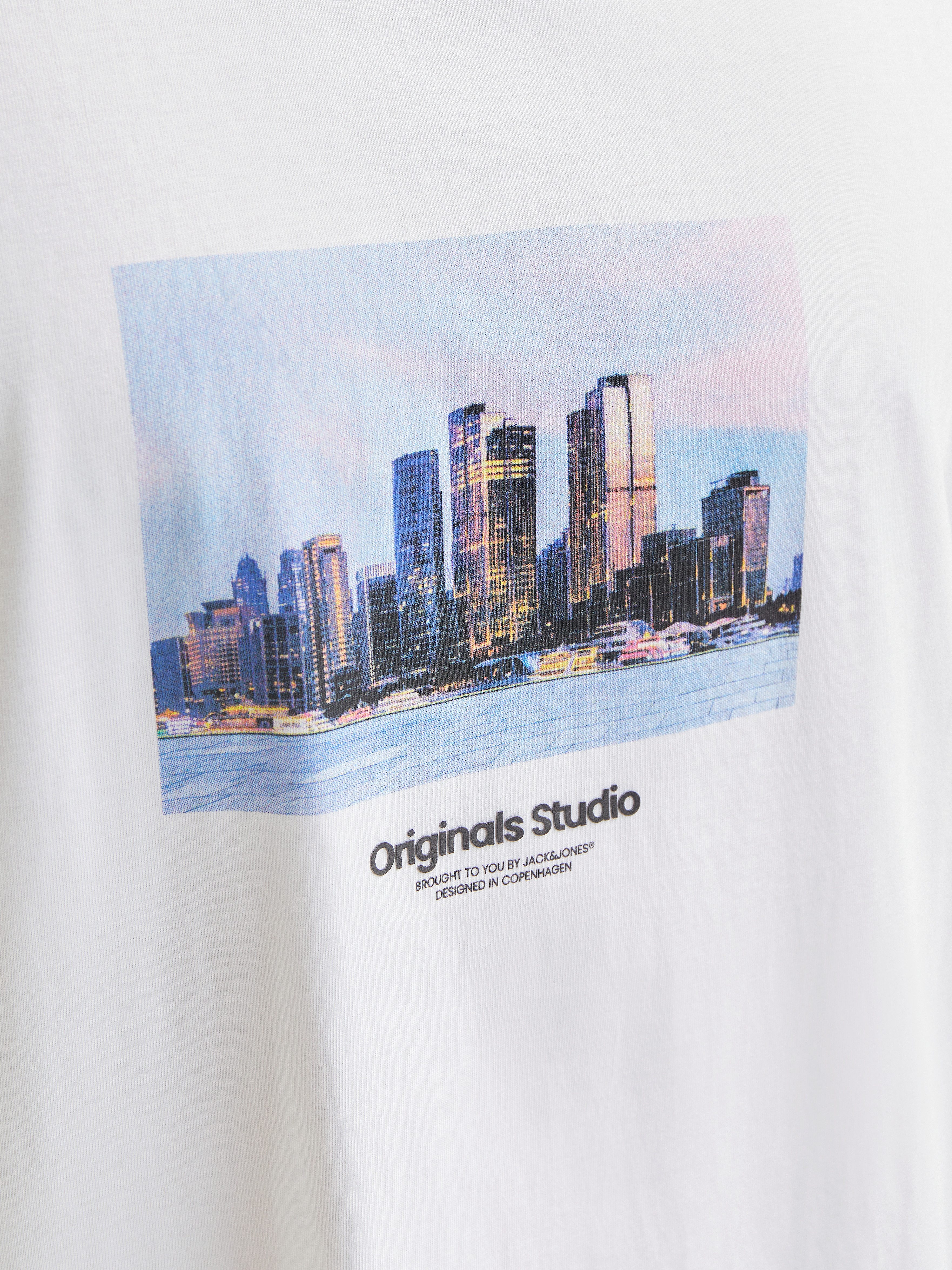 Jack & Jones Shirt met korte mouwen JORVESTERBRO PICTURE TEE SS CREW NECK SN