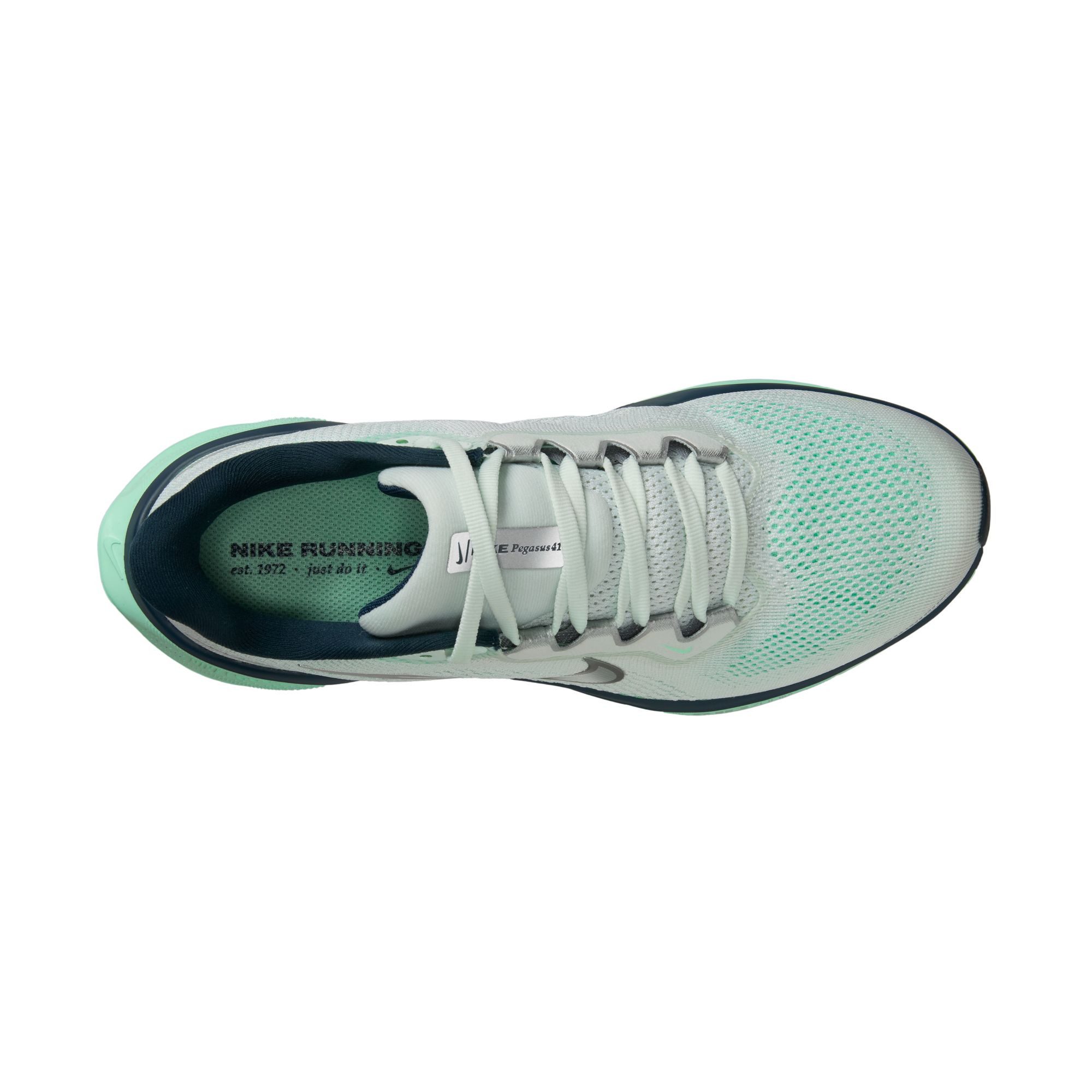 Nike Runningschoenen W AIR ZOOM PEGASUS 41