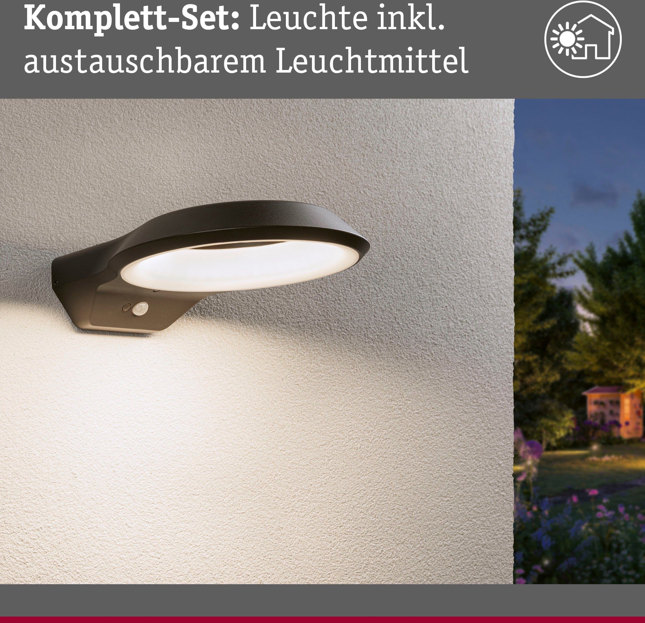 Paulmann Led-wandlamp voor buiten Anela 230V insectvriendelijk