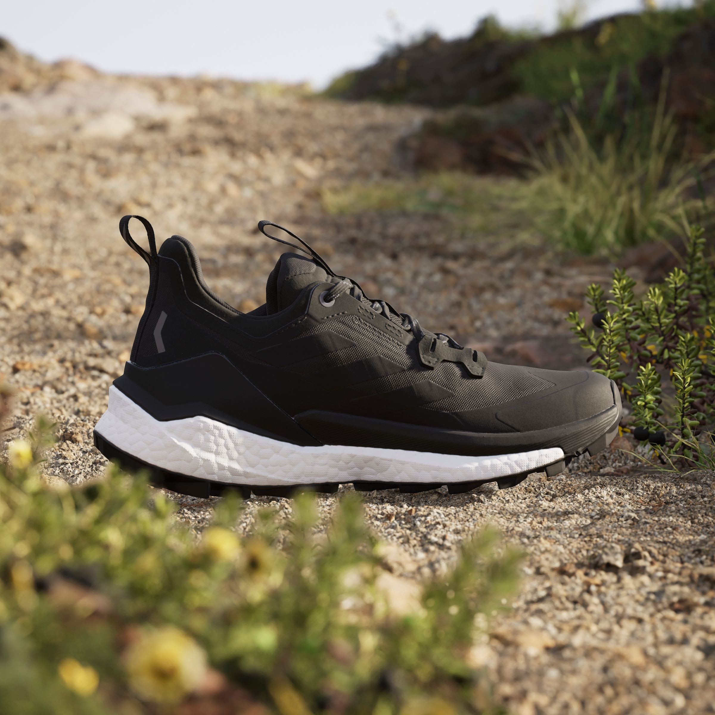 adidas TERREX Wandelschoenen TERREX FREE HIKER 2.0 LOW