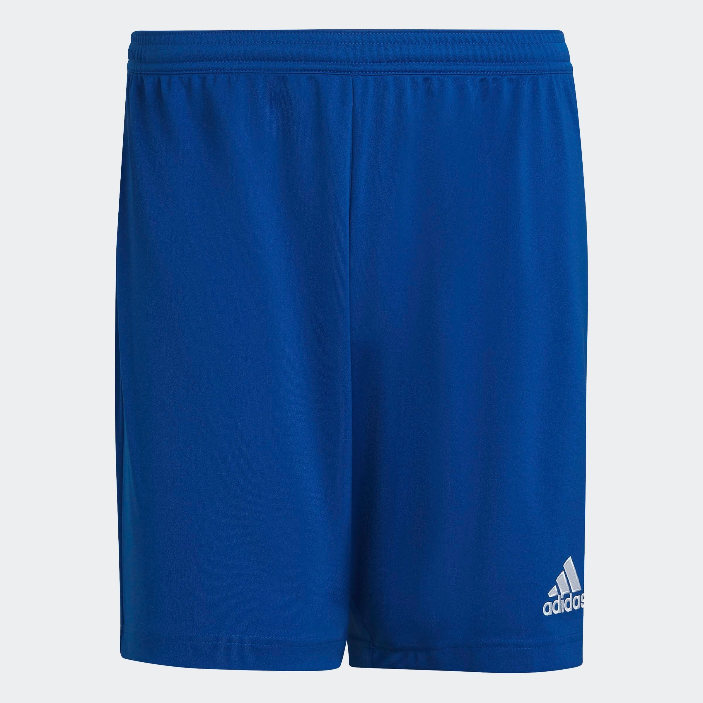 adidas Performance Trainingsshort ENT22 SHO (1-delig) heren sportshorts maat M blauw