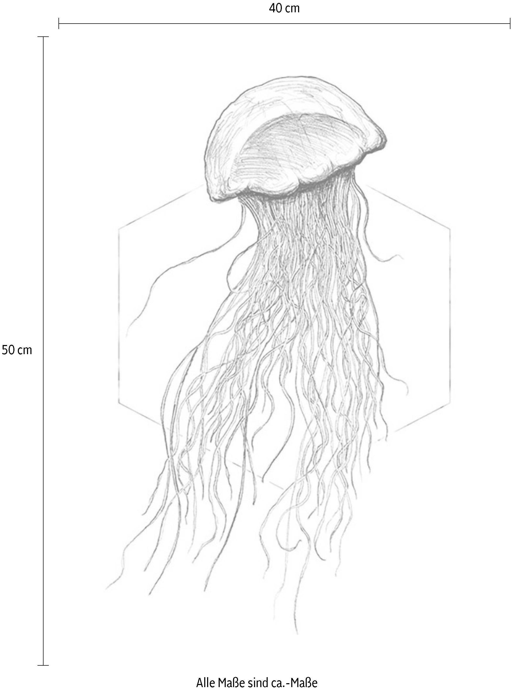 Komar Wanddecoratie Jellyfish white Wanddecoratie - zonder lijst (1 stuk)
