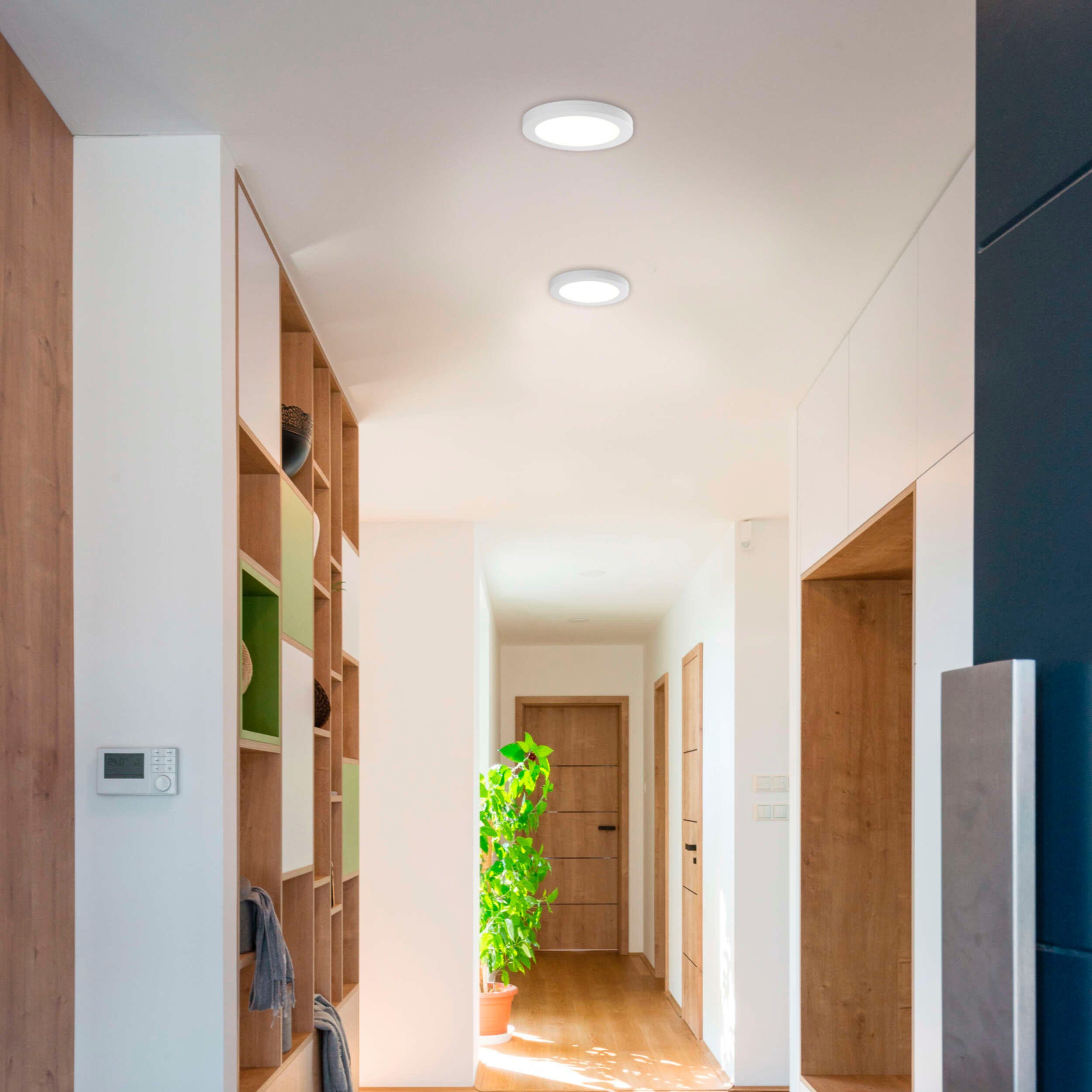 näve Ledinbouwlamp Komplex ook opbouw, cct, lichtkleur instelbaar via apparaat schakelaar, rond (1 stuk)