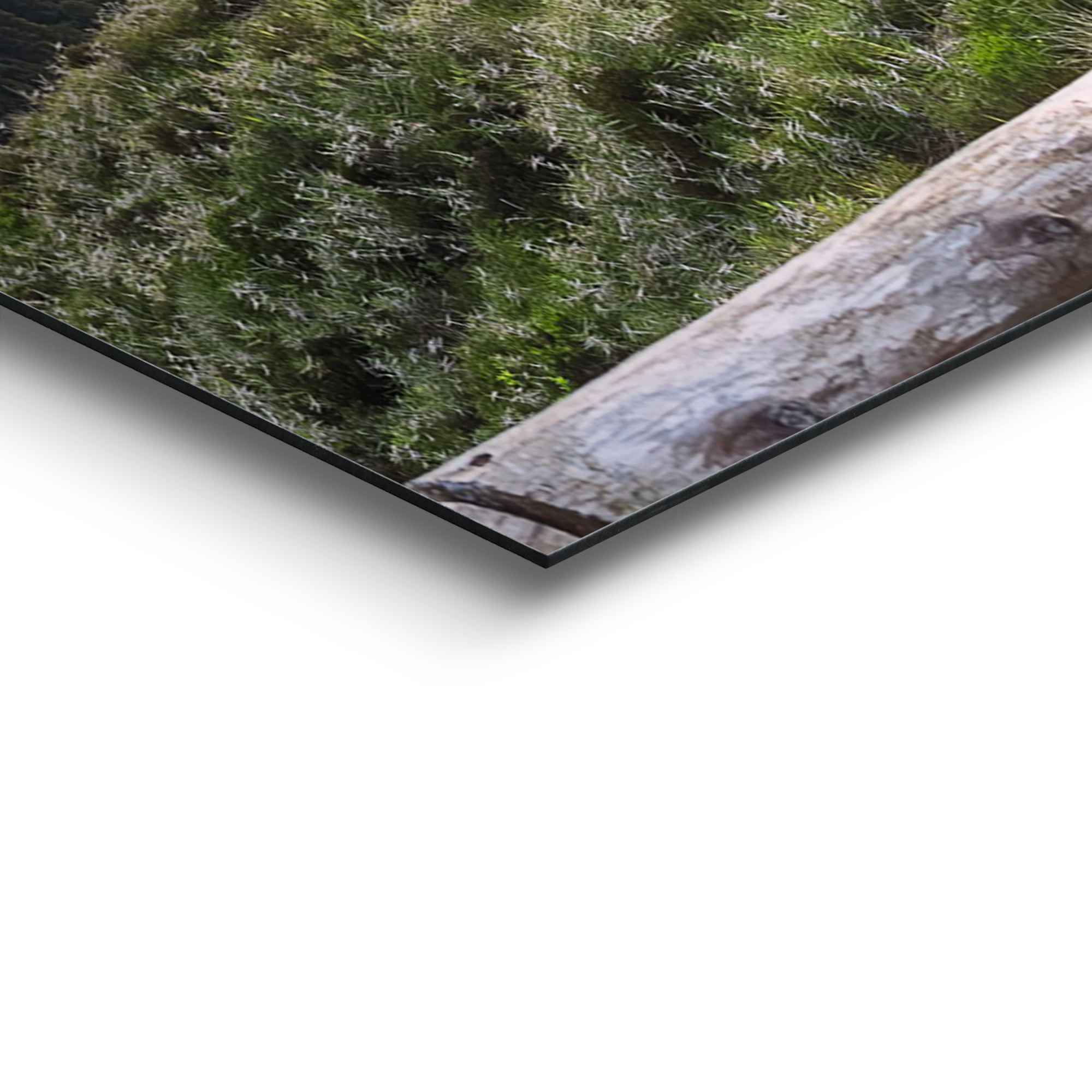 Reinders! Artprint Dageraad bergen - zonsopkomst - natuur