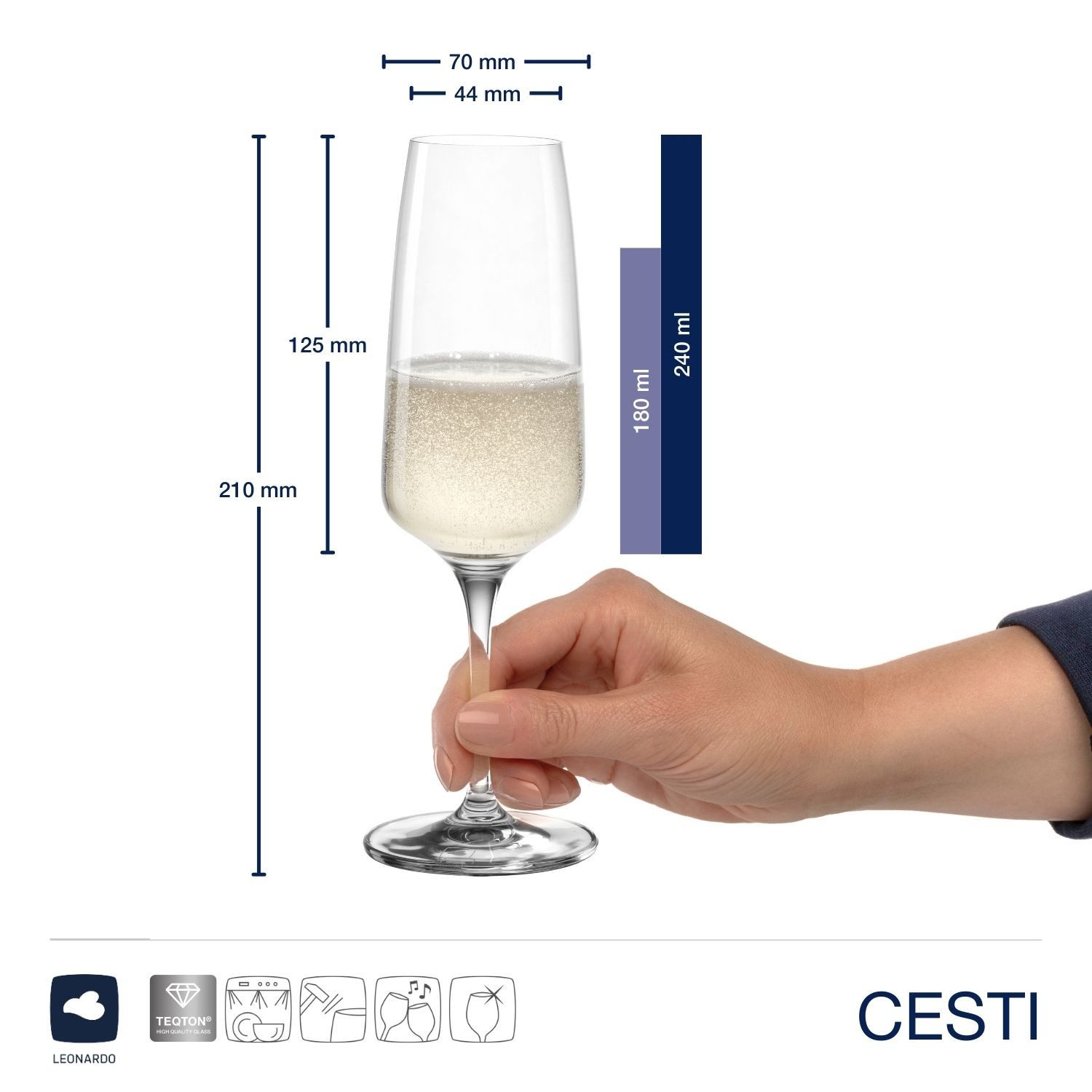 LEONARDO Champagneglas Champagneglazen CESTI + poetsdoek (set, 7-delig)